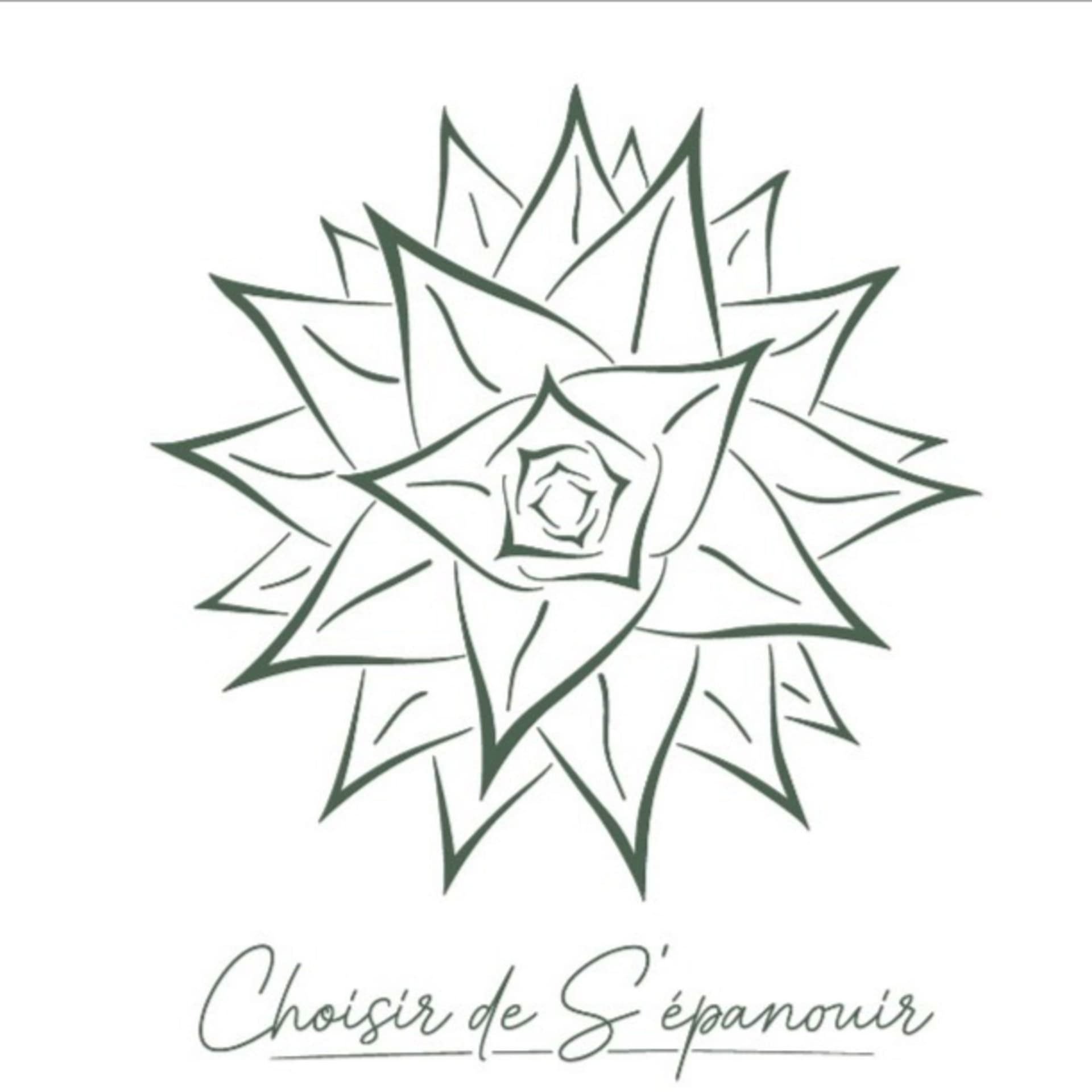 Choisir de s'épanouir - Podcasts