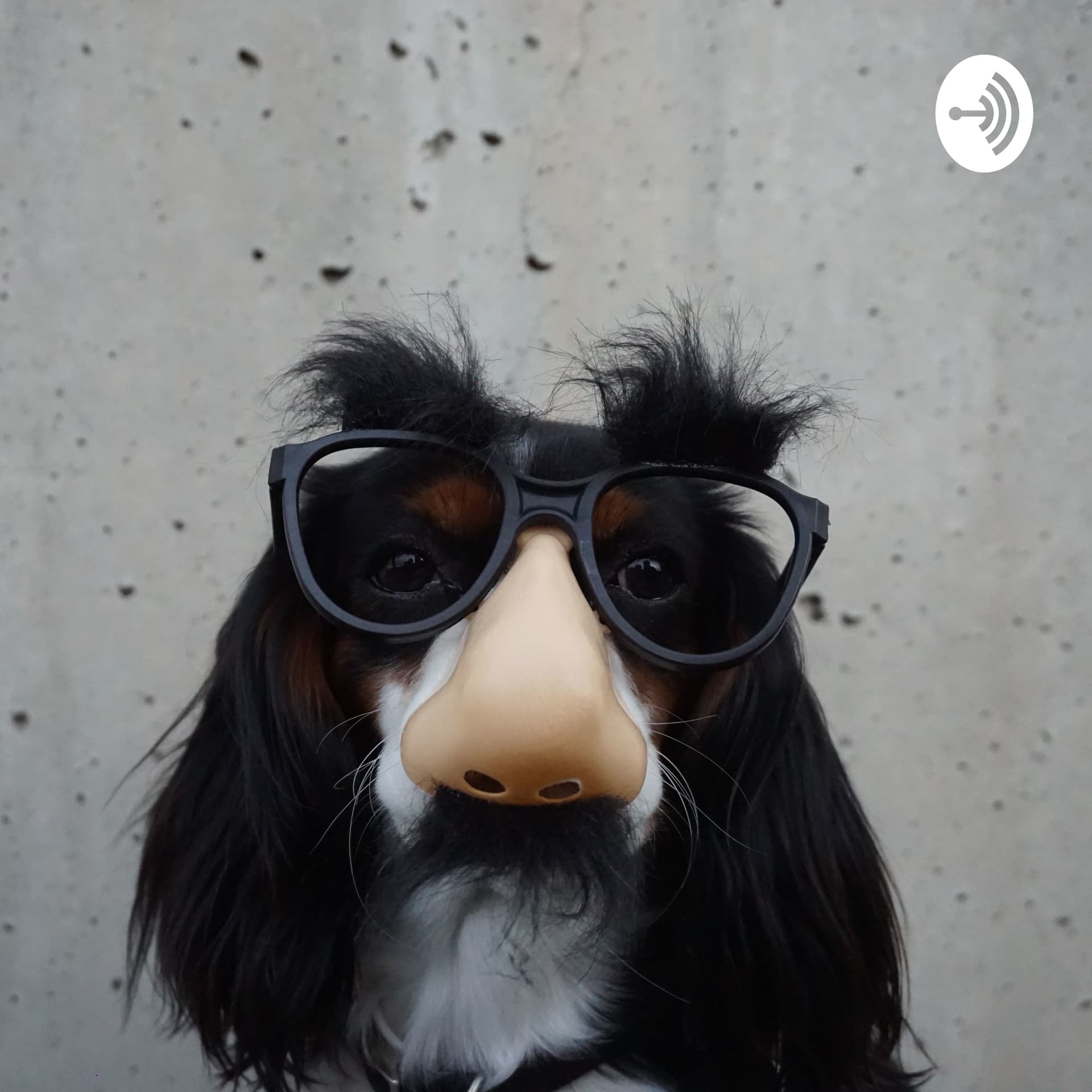 Selektivi Hirnrindestimulation - Podcasts