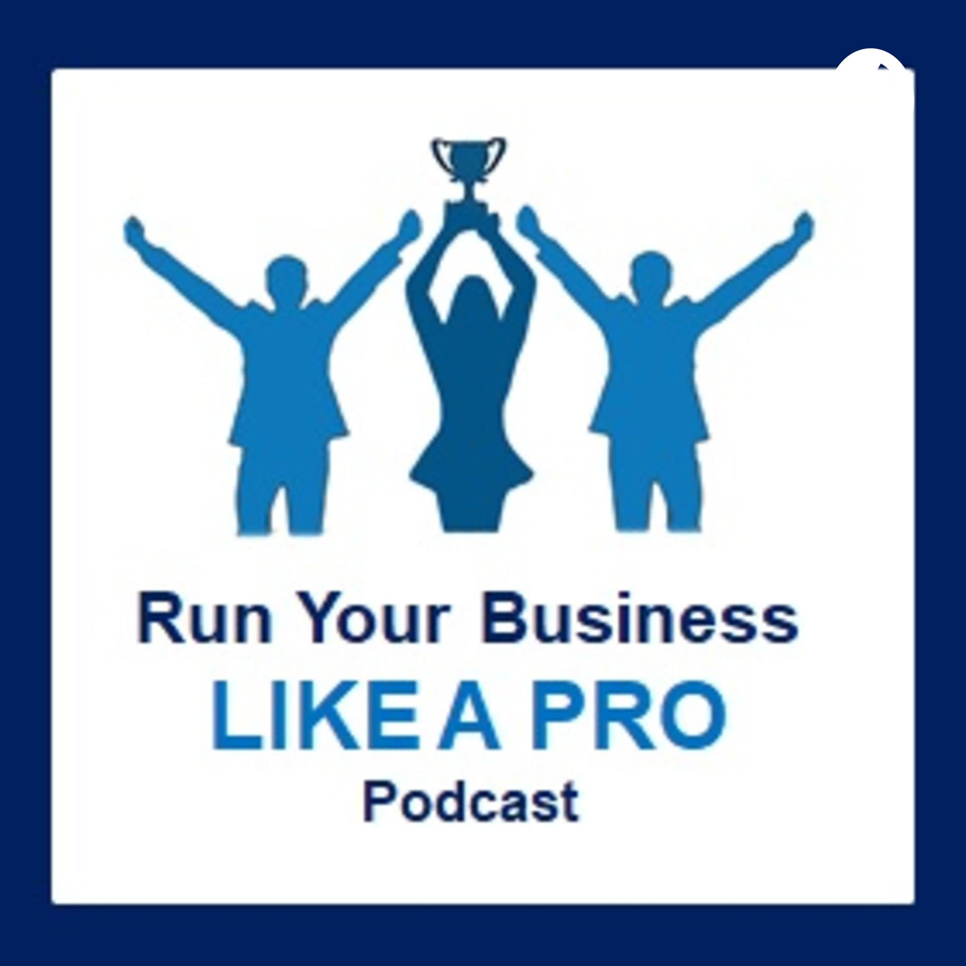 Run Your Business Like A Pro! - Podcasts
