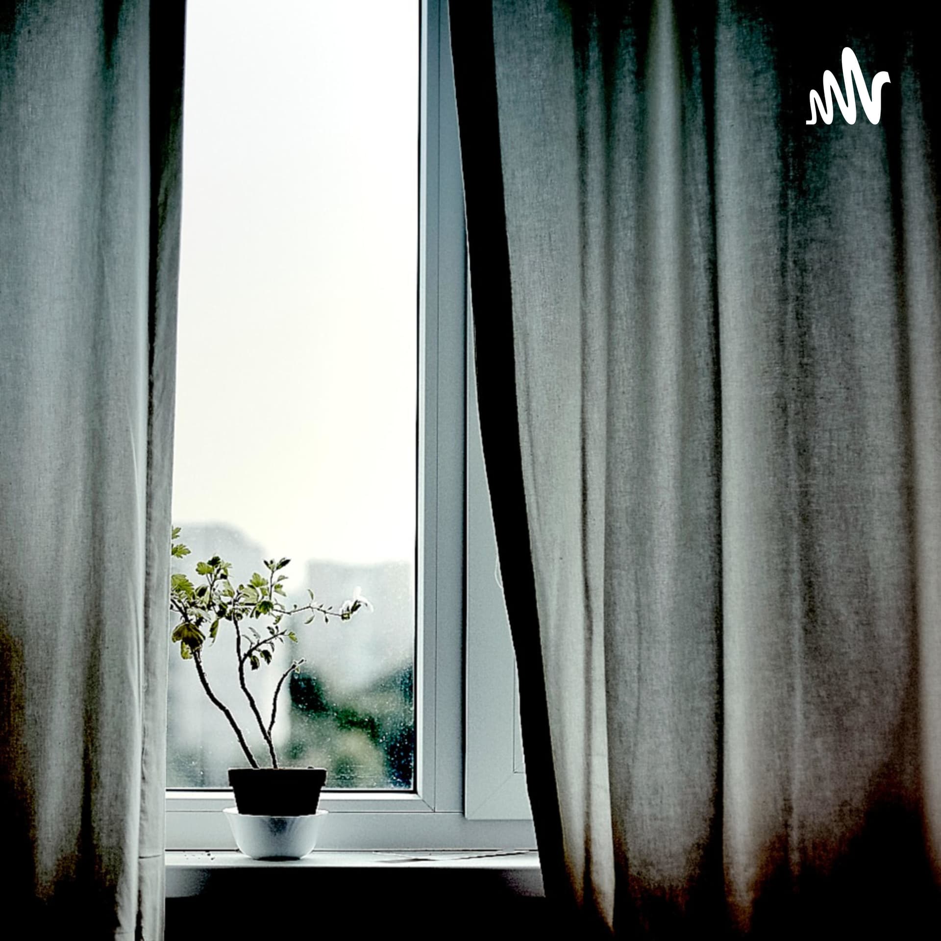 The Veil By Sebadsian Vasoff - Podcasts