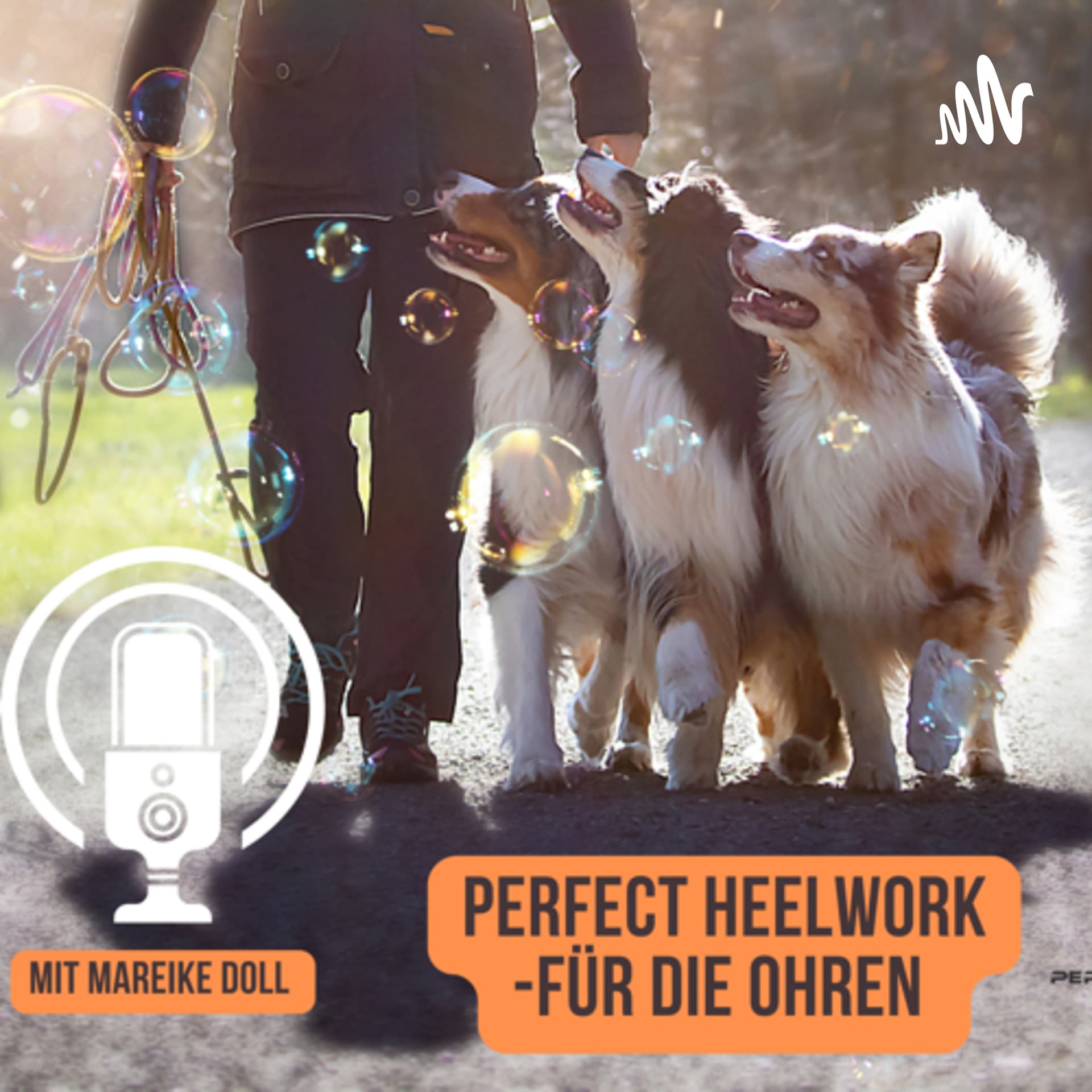 Perfect Heelwork-für die Ohren - Podcasts