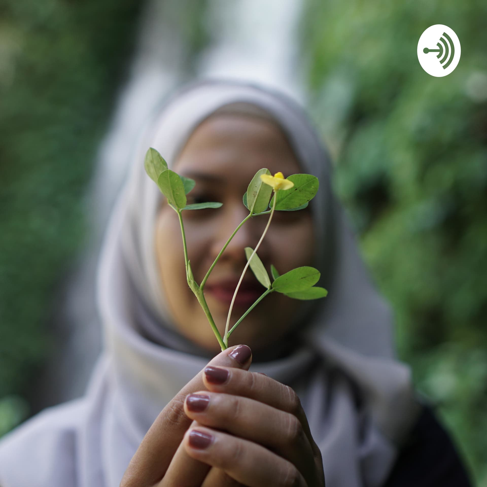 Podcast TIAN :) - Podcasts