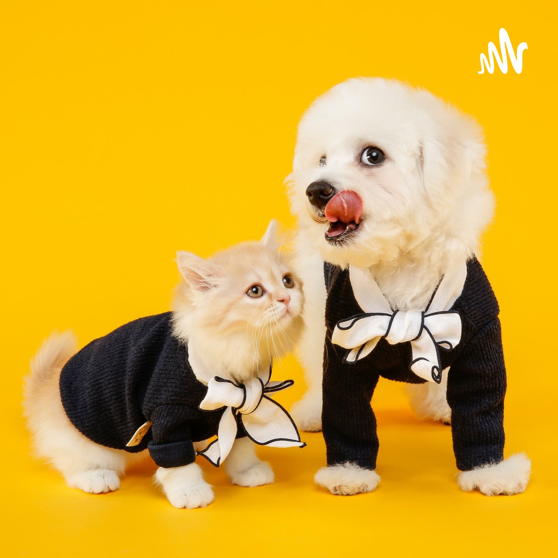 El Canal de las Mascotas - Podcasts