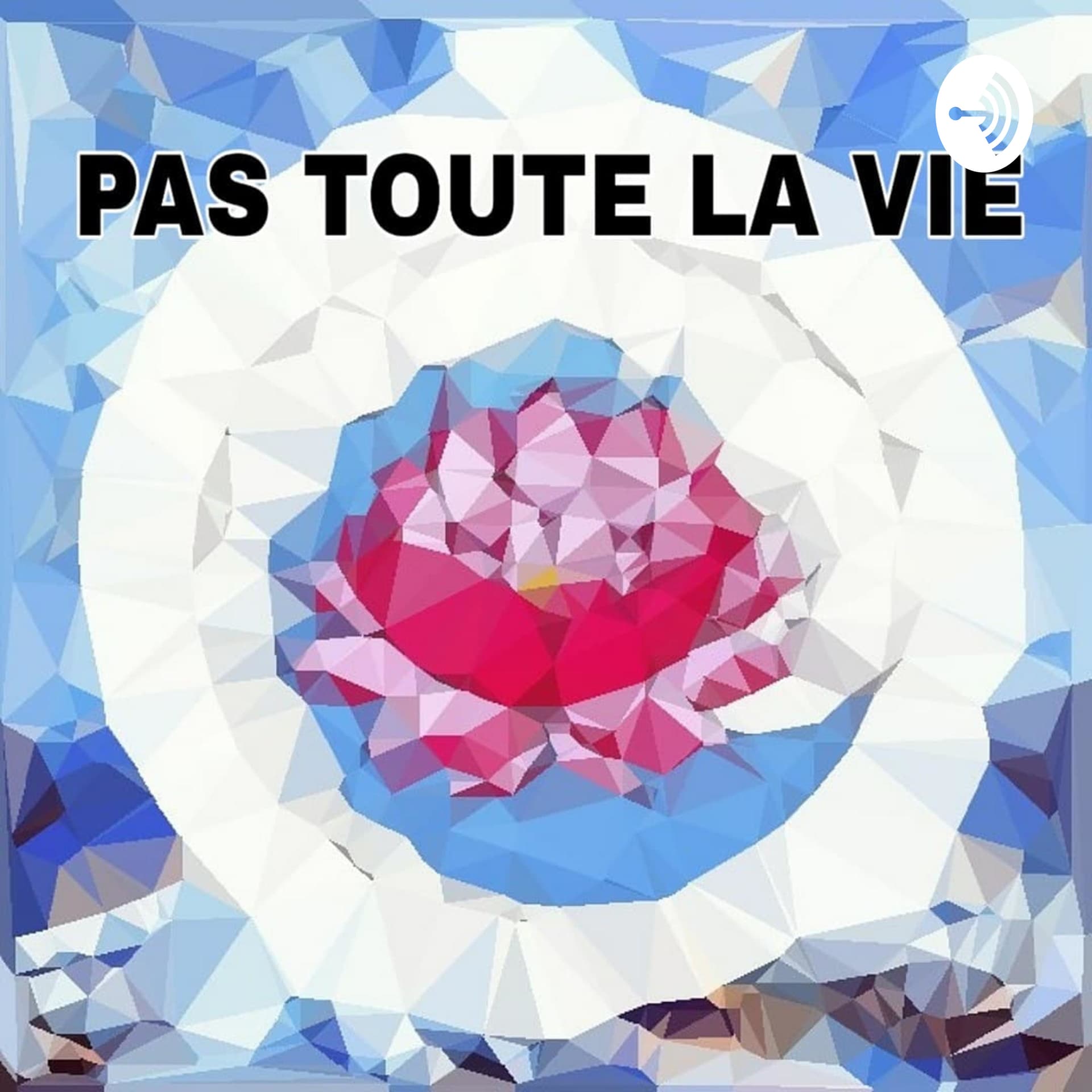 Pas toute la vie