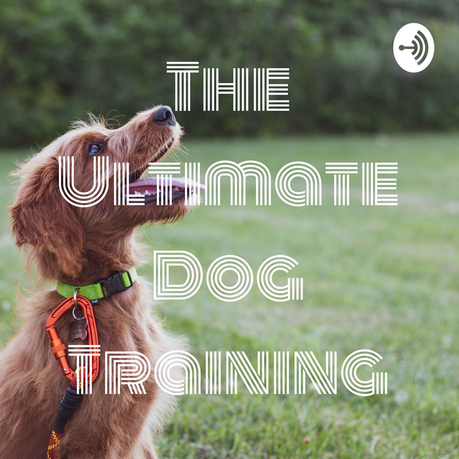 The Ultimate Dog Training - Podcasts