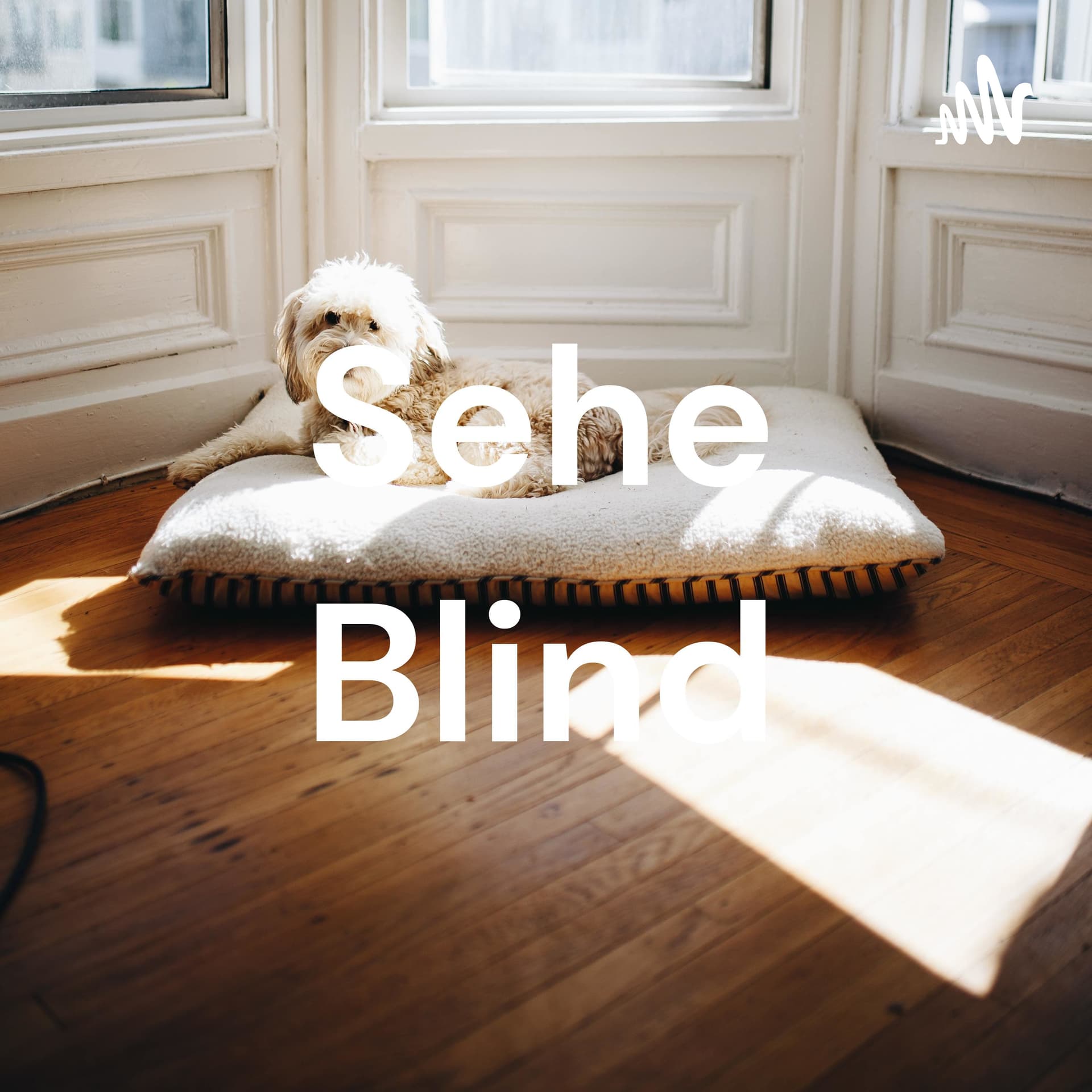 Sehe Blind - Podcasts