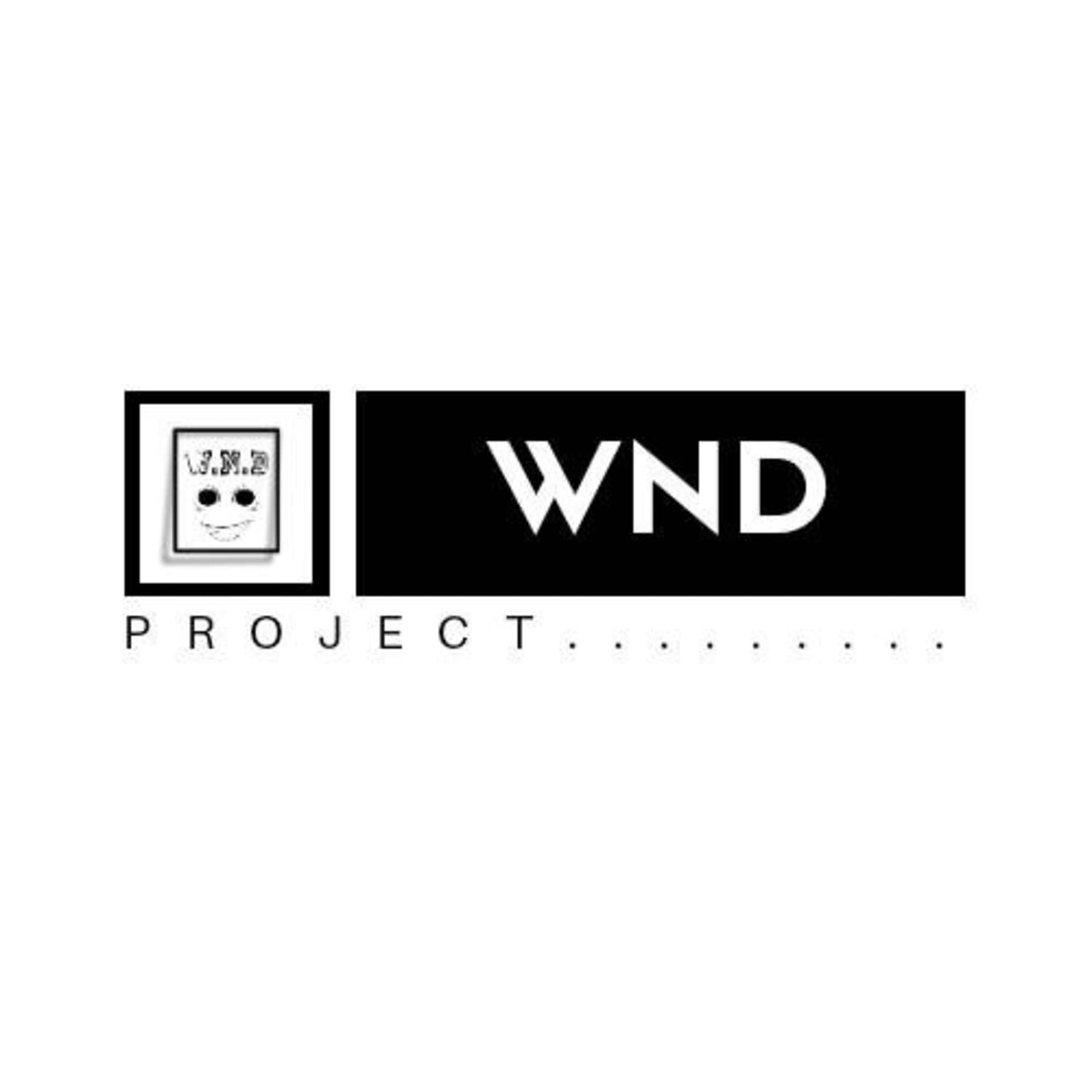 WND podcast - Podcasts