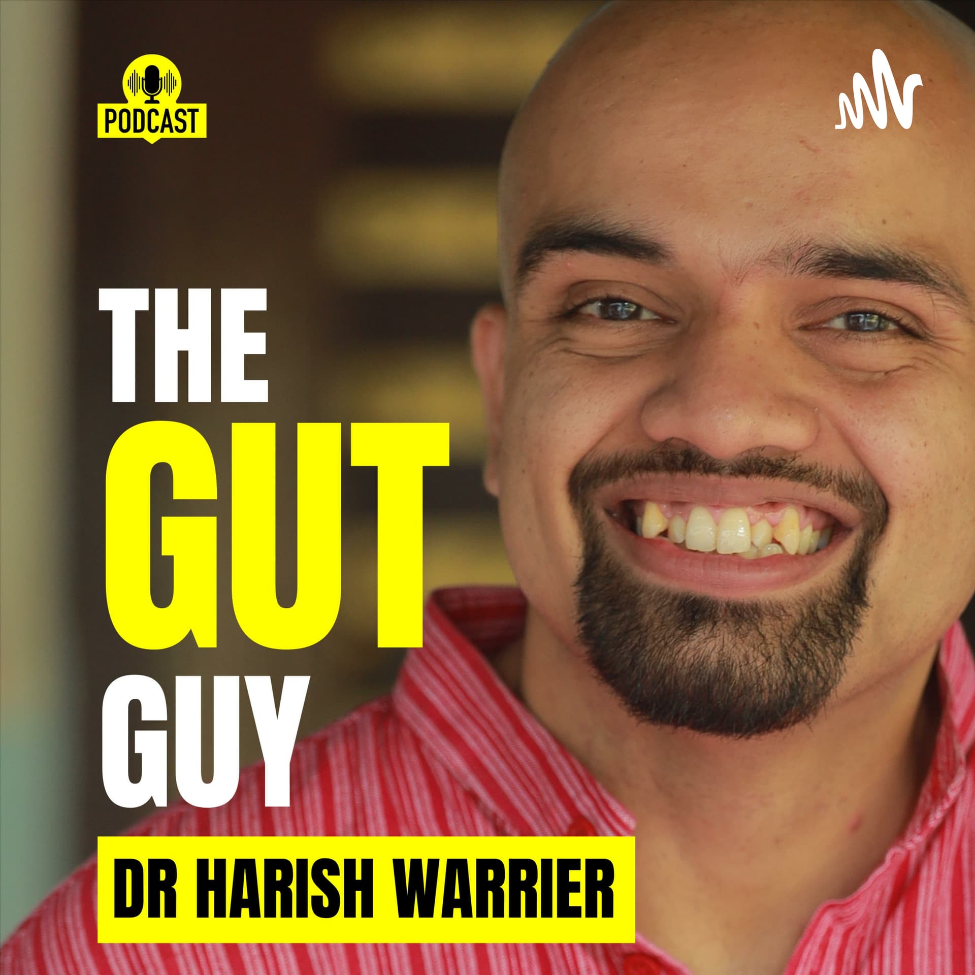 The Gut Guy - Podcasts