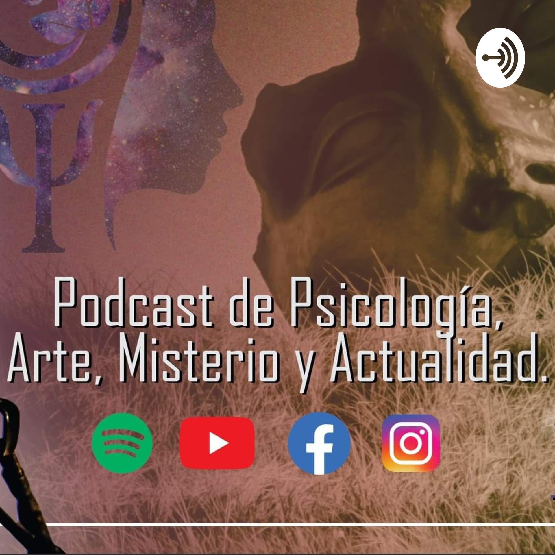 El Ojo Podcast - Podcasts