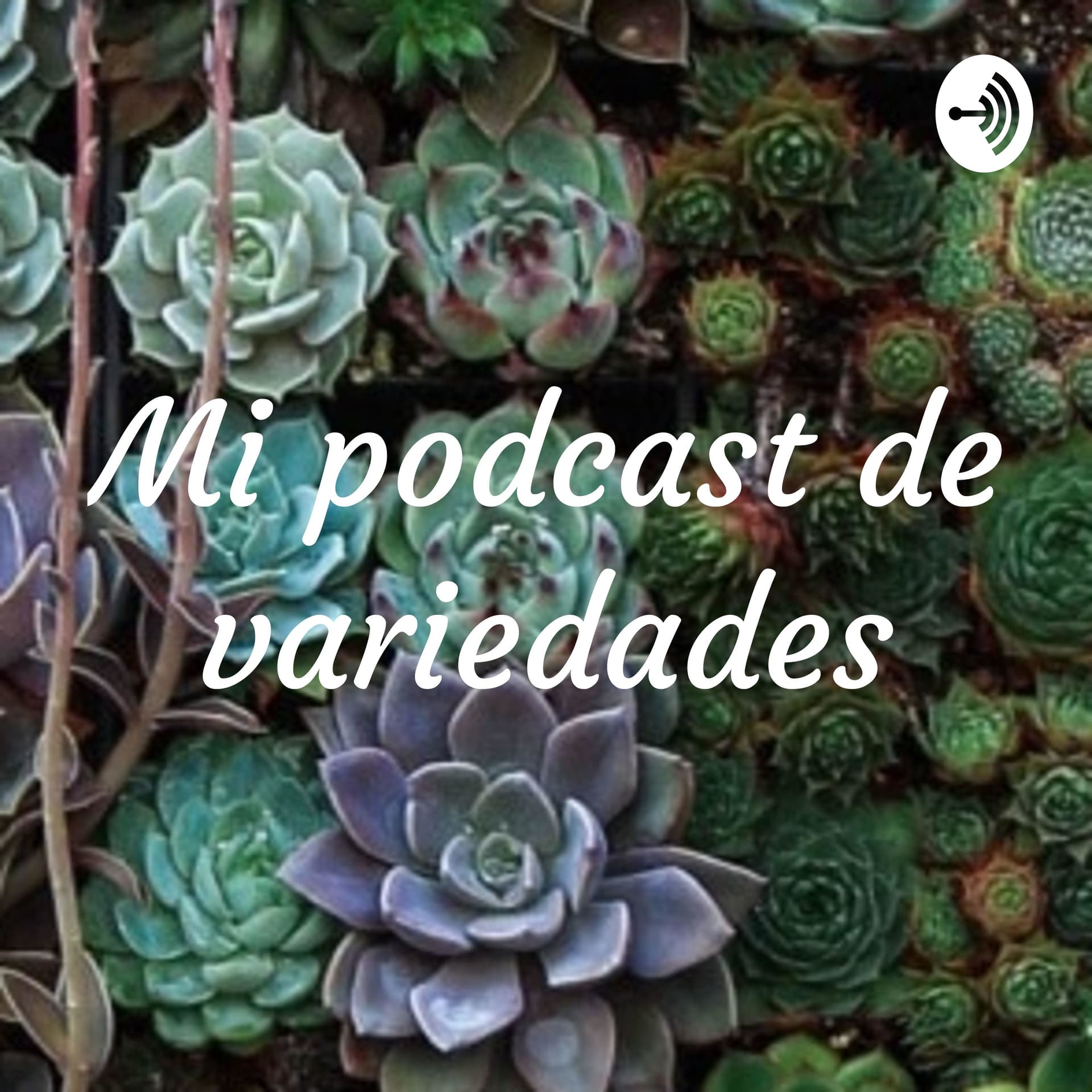 Programa para testing - Podcasts