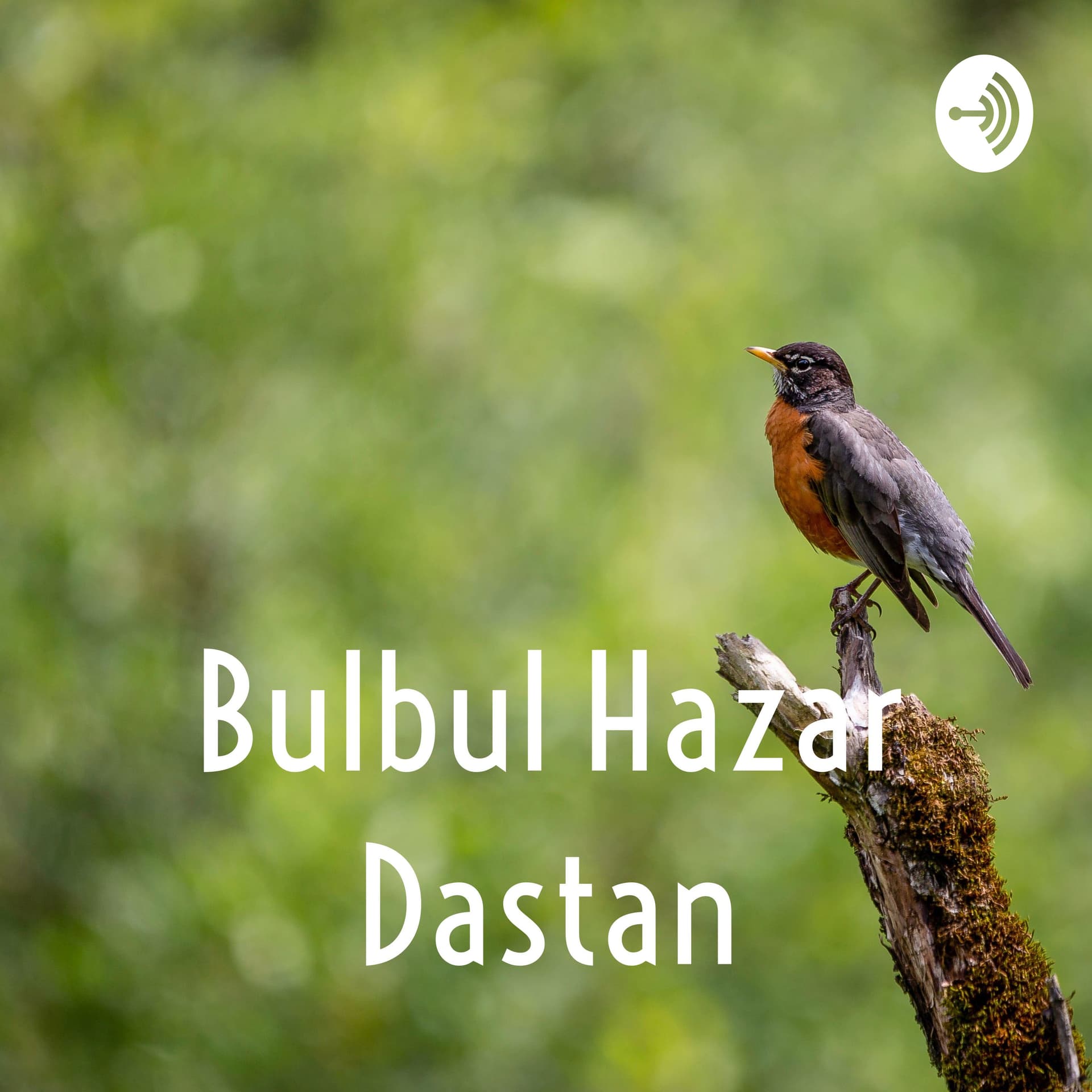 Bulbul Hazar Dastan - Podcasts