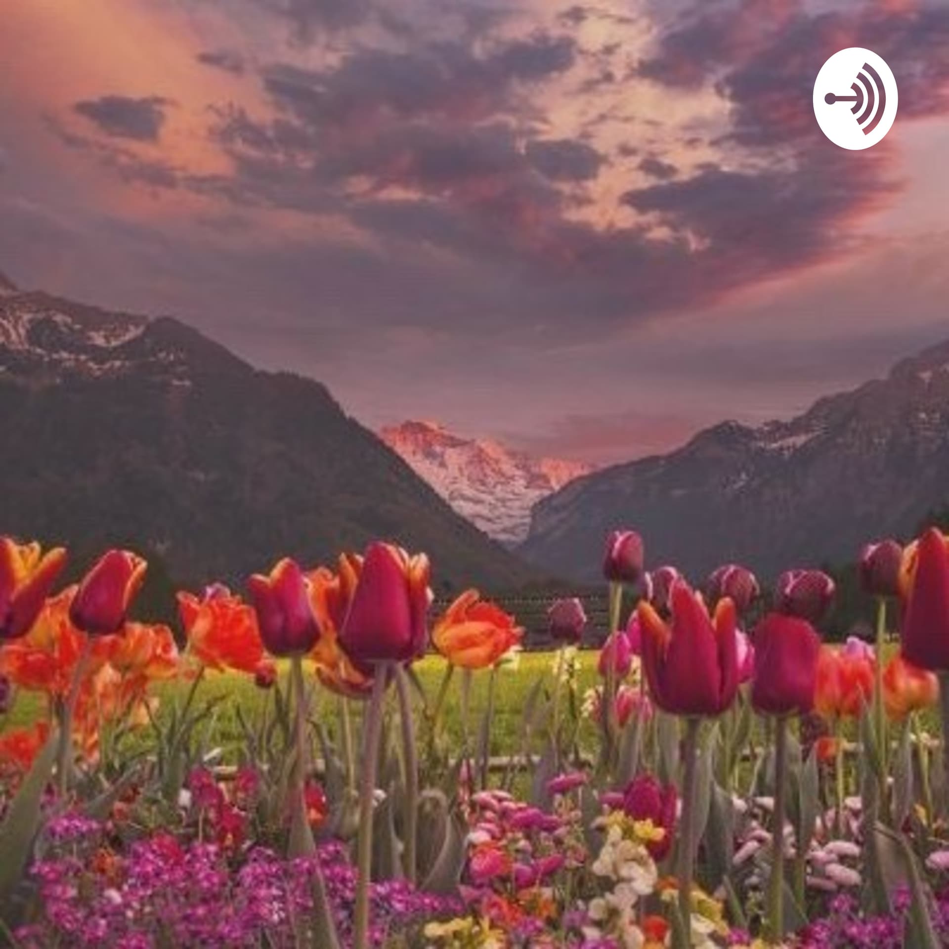 Everything Circular - Podcasts
