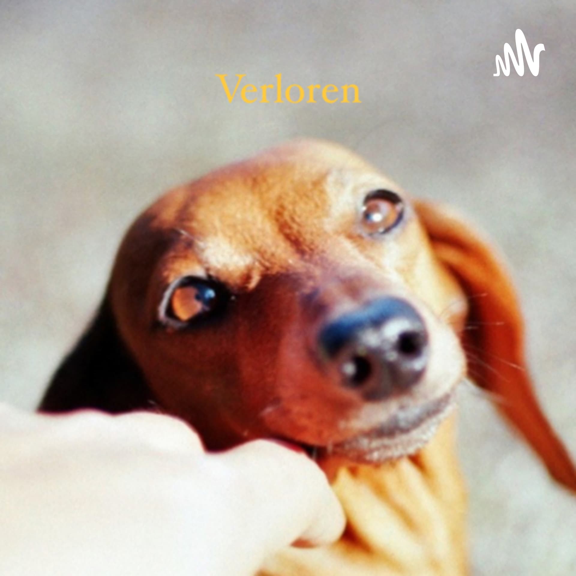 Verloren auf die Ohren - Podcasts