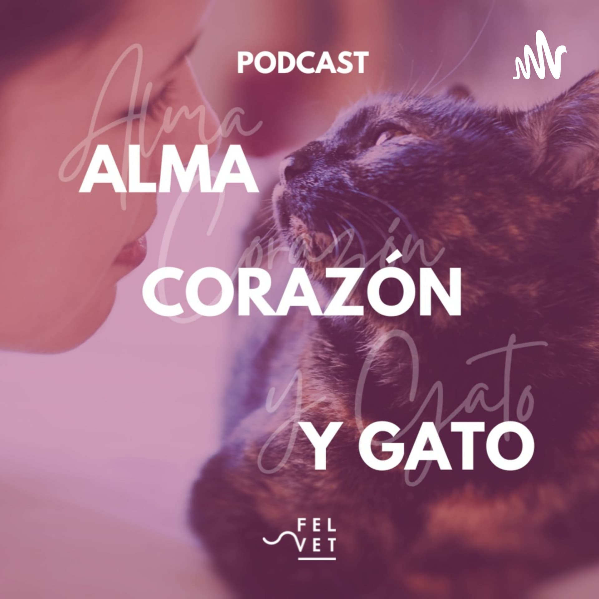 Alma Corazón y Gato - Podcast sobre gatos - Podcasts