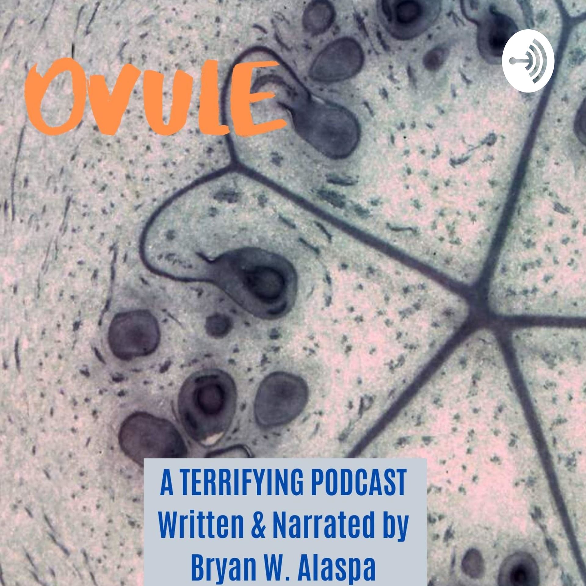 Ovule - Podcasts