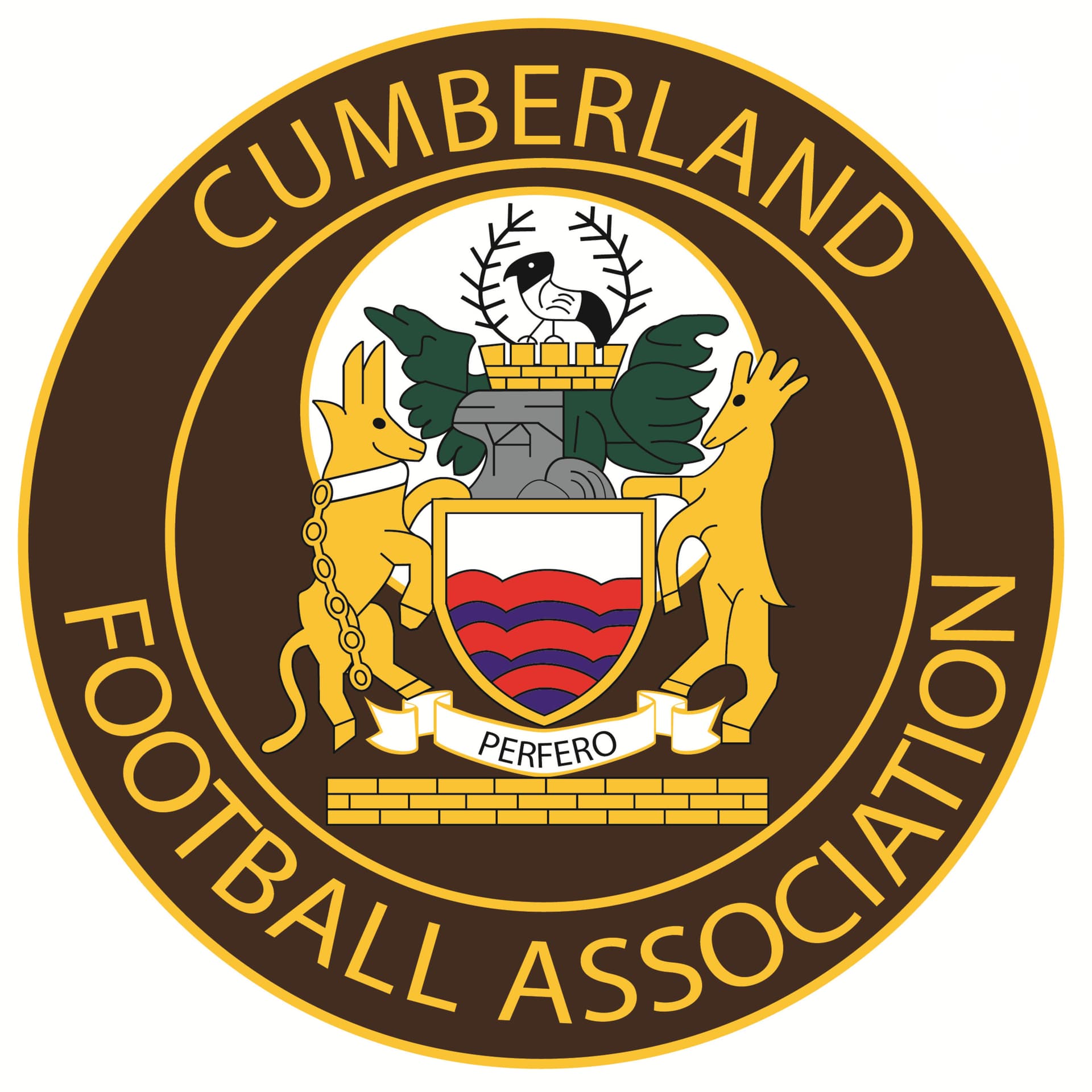 Cumberland FA Podcasts - Podcasts