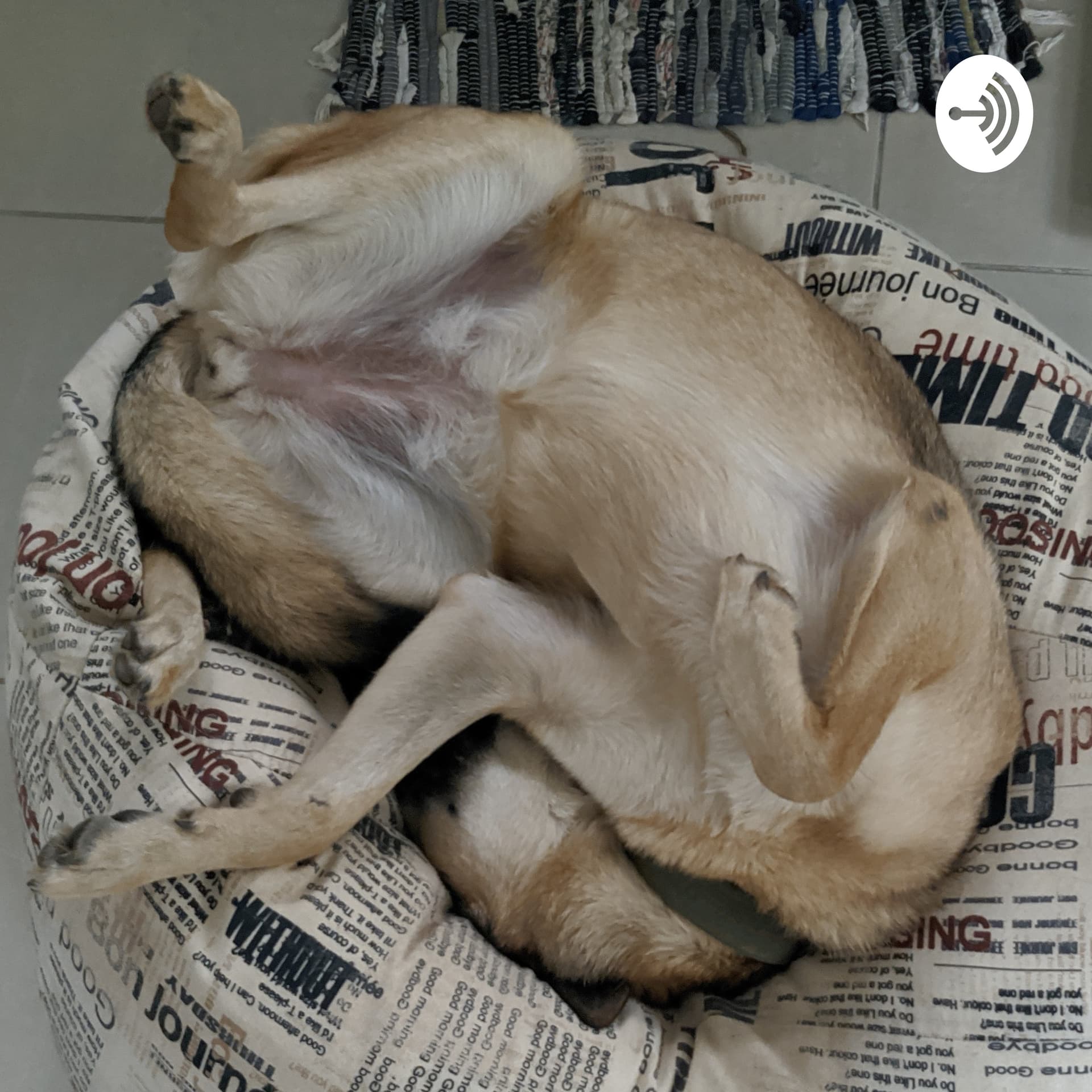 Один Девопс Собака - Podcasts
