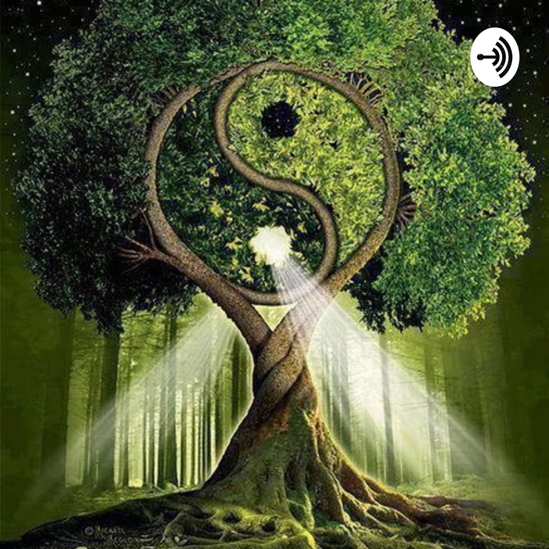 Meditaciones by Marcela Reyes - Podcasts