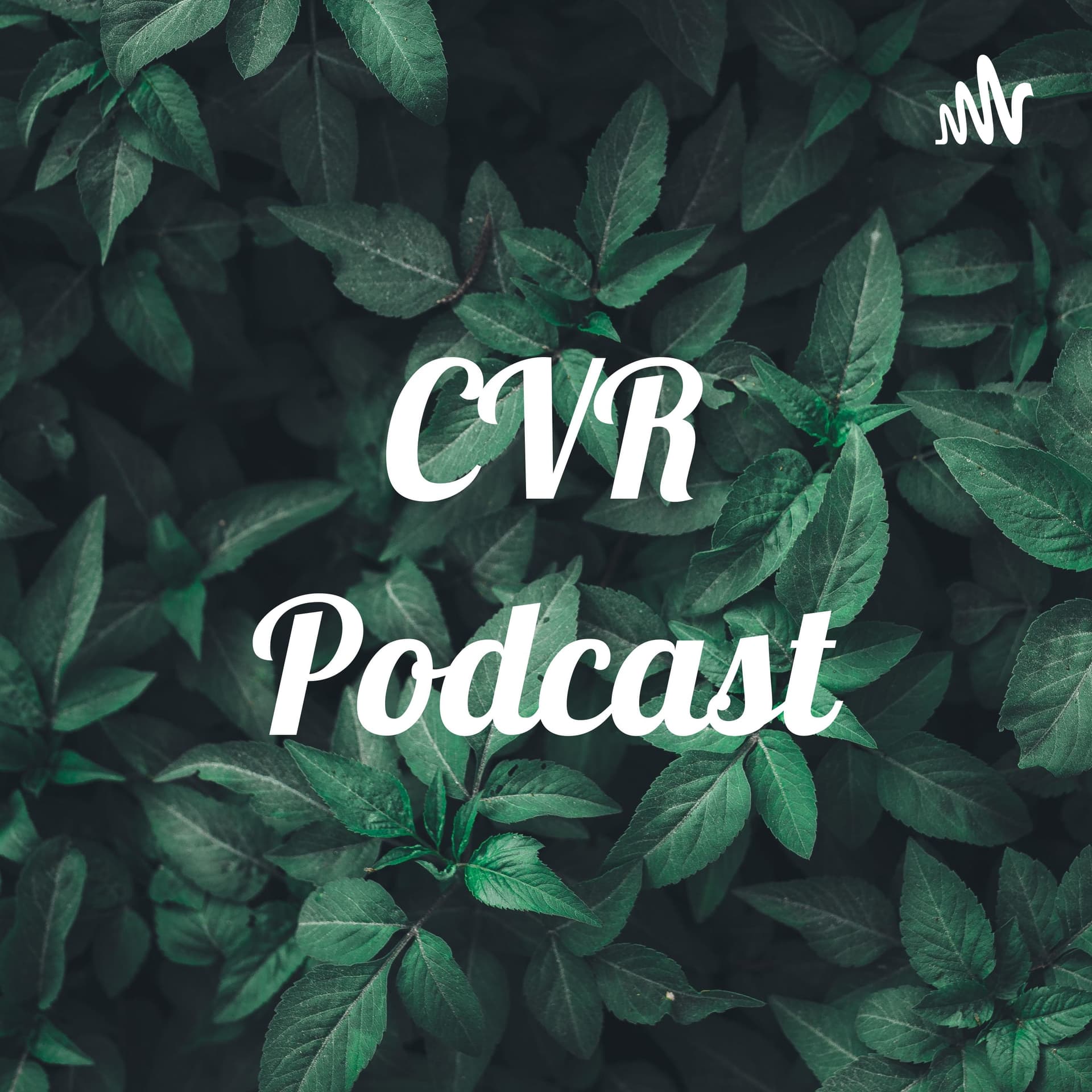CVR Podcast - Podcasts