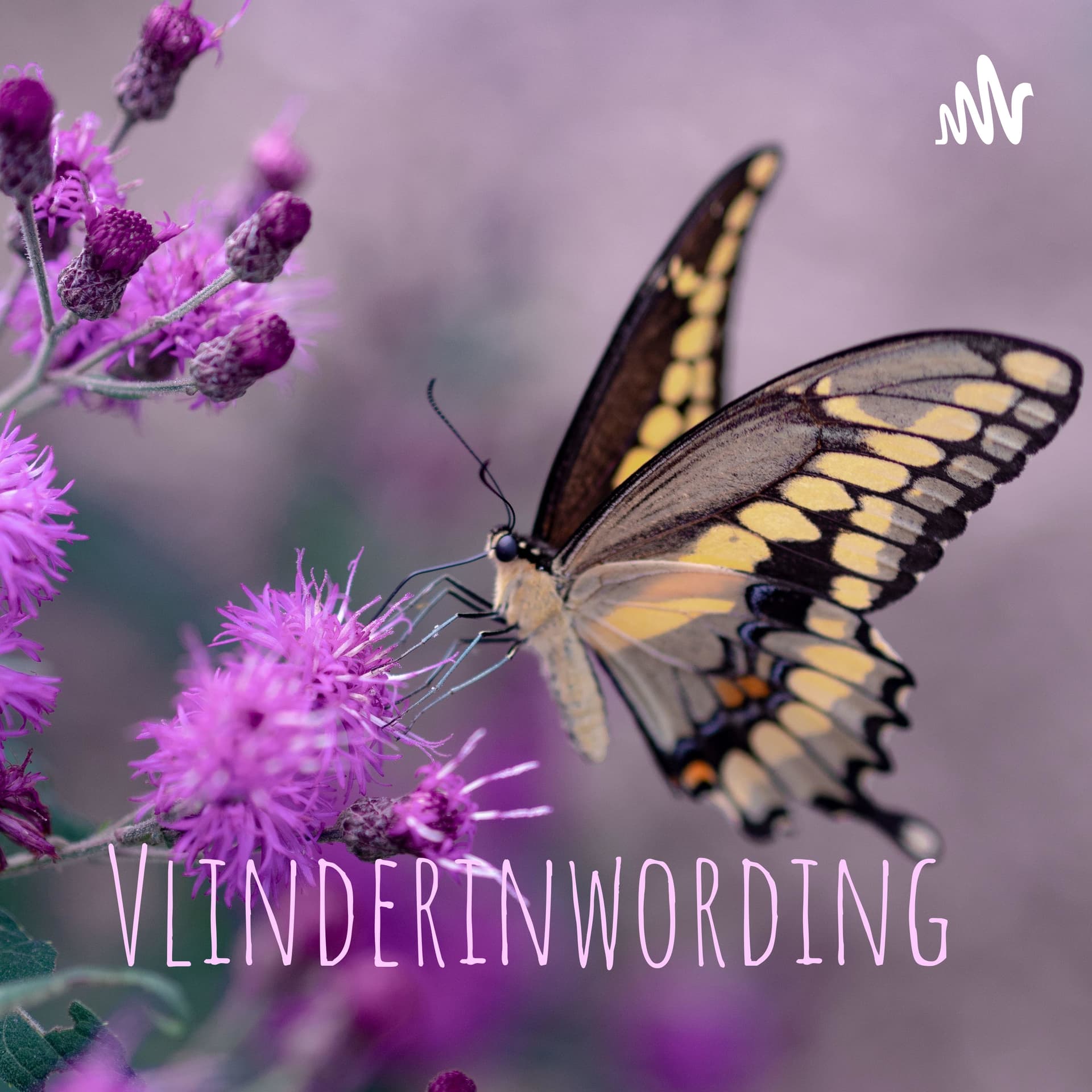 Vlinderinwording - Podcasts