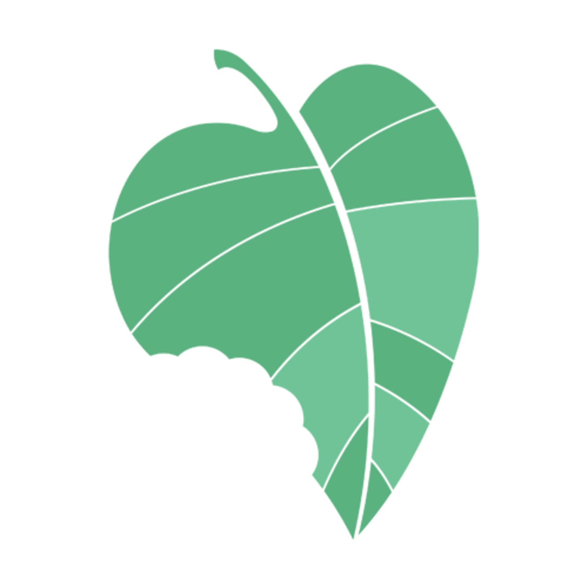 Life Lessons Nutrition - Podcasts