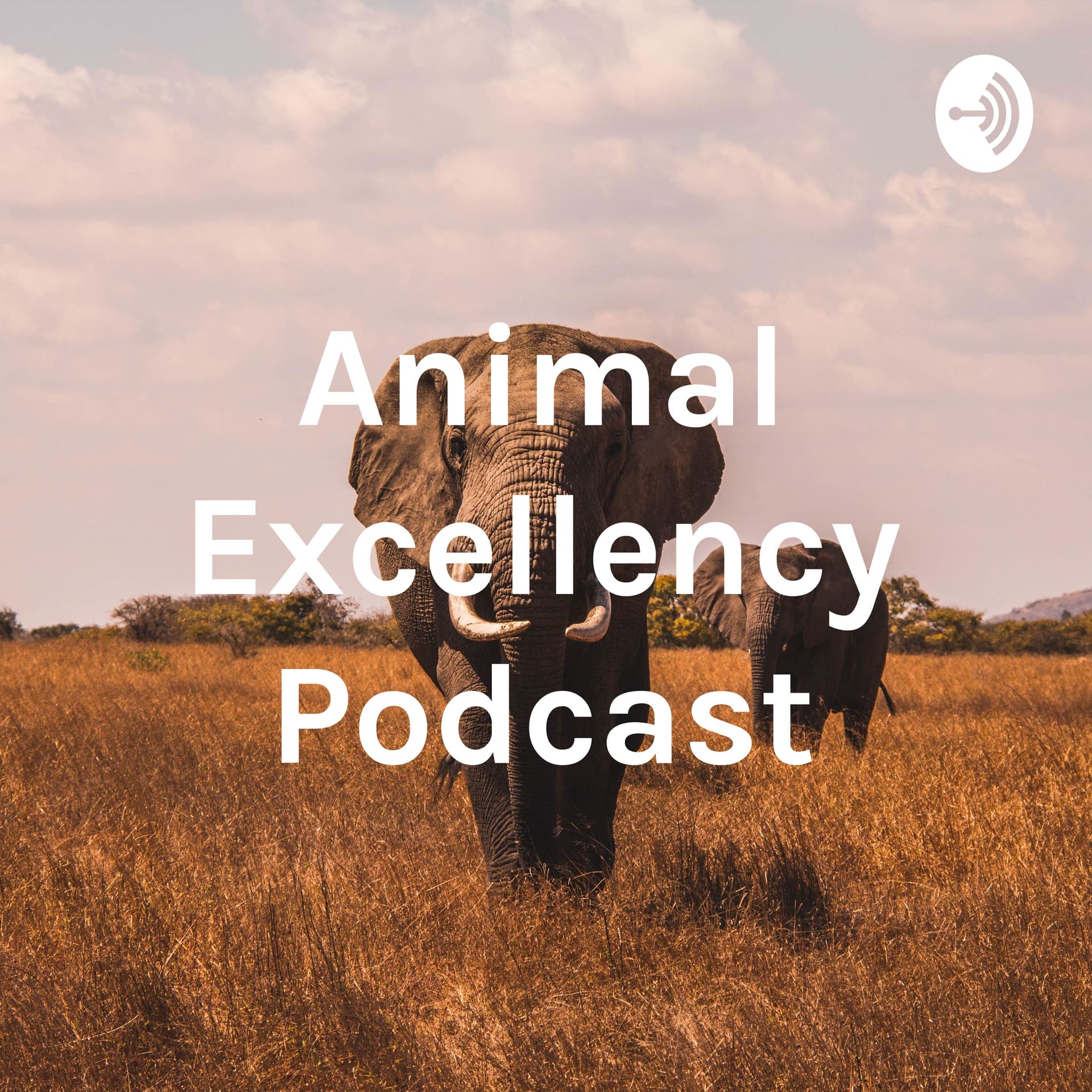 Animal Excellency Podcast - Podcasts