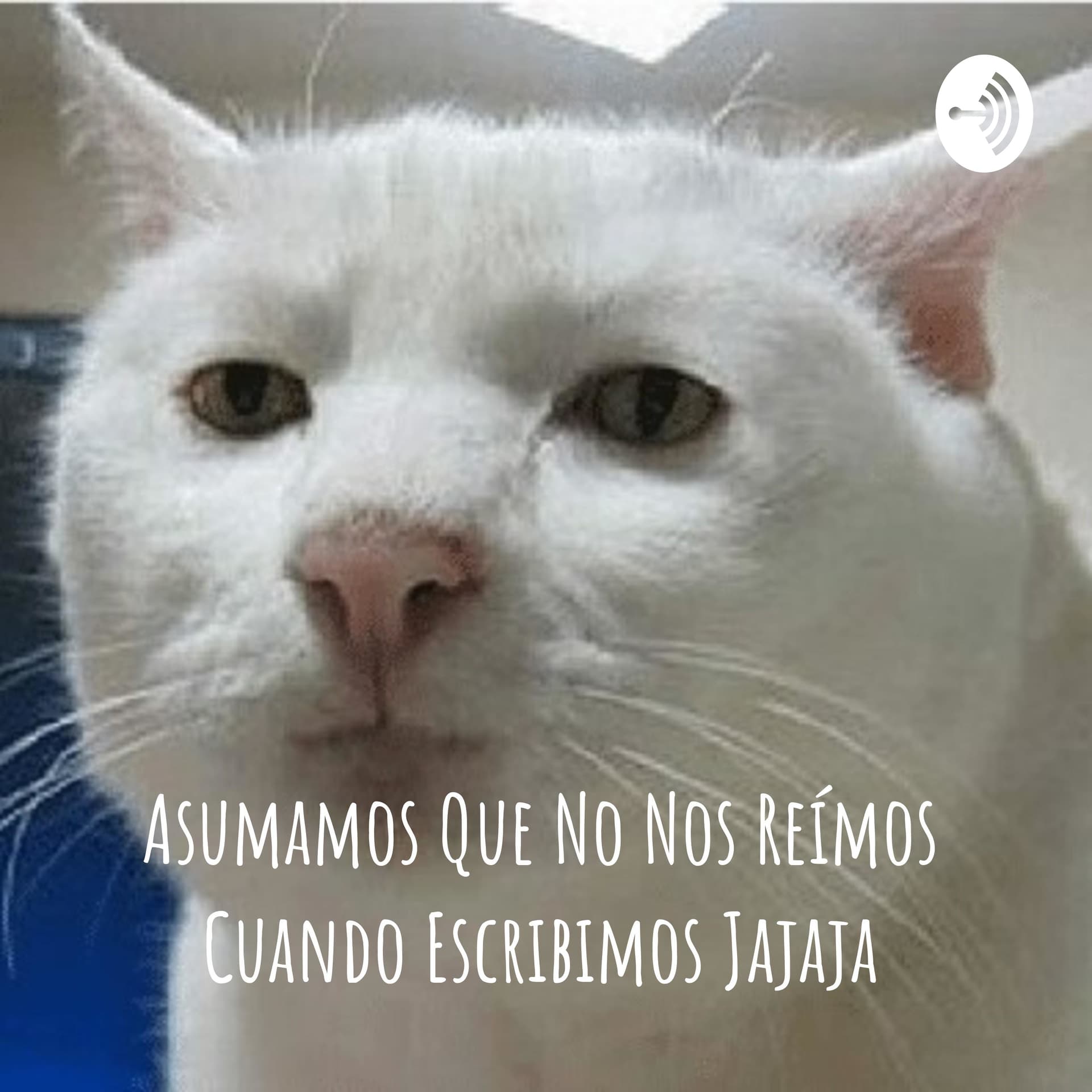 Asumamos Que No Nos Reímos Cuando Escribimos Jajaja - Podcasts
