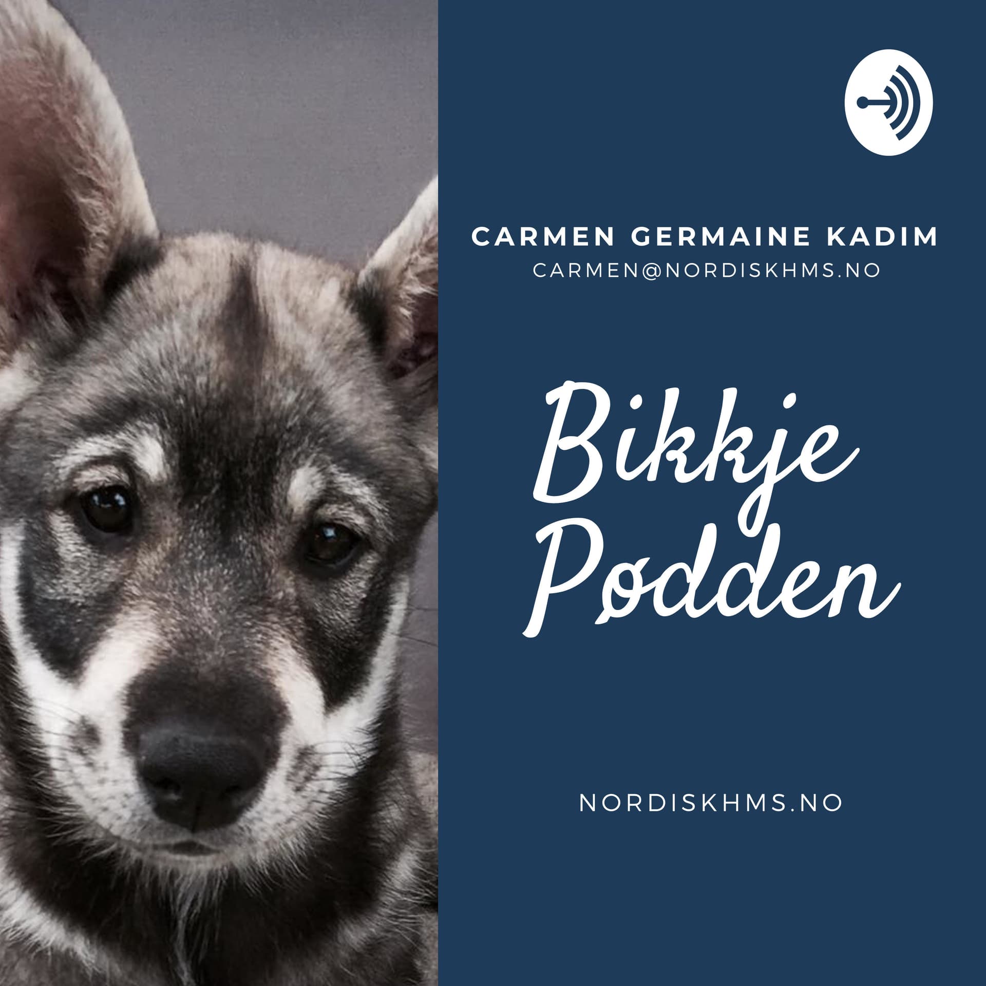Bikkje Pødden - For alle hundeinteresserte - Podcasts
