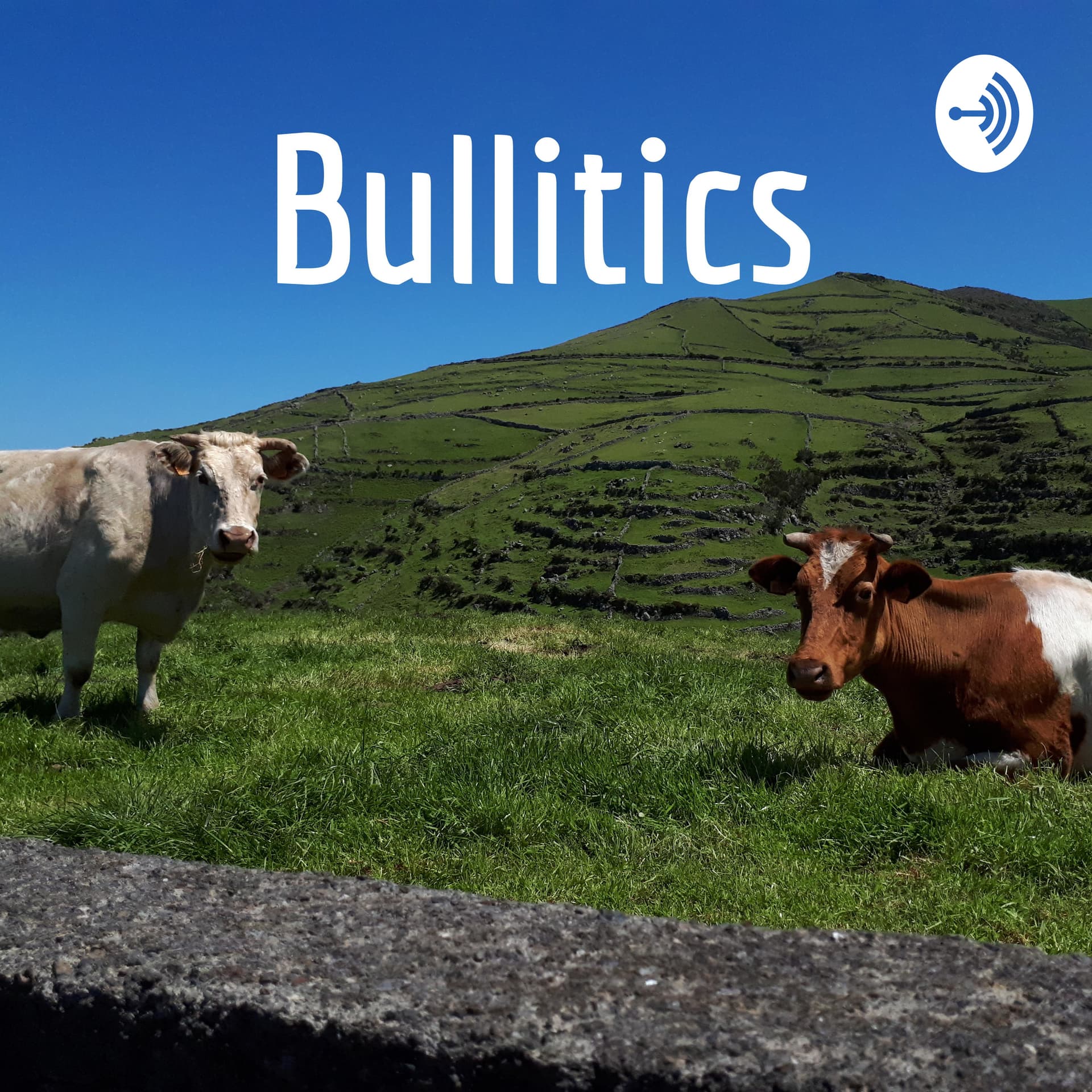 Bullitics - Podcasts