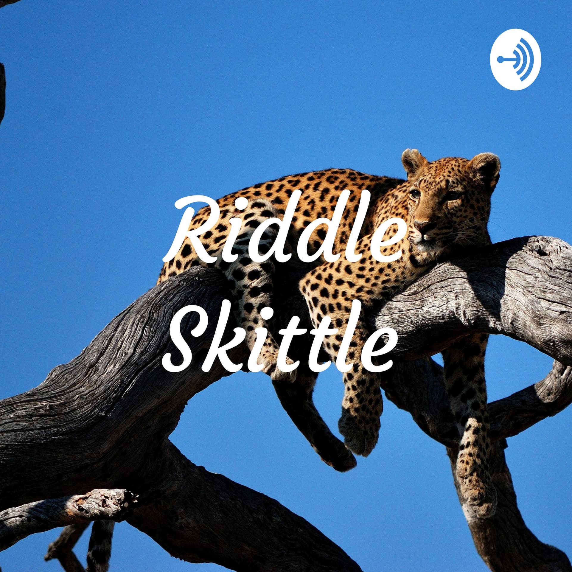Riddle Skittle - Podcasts