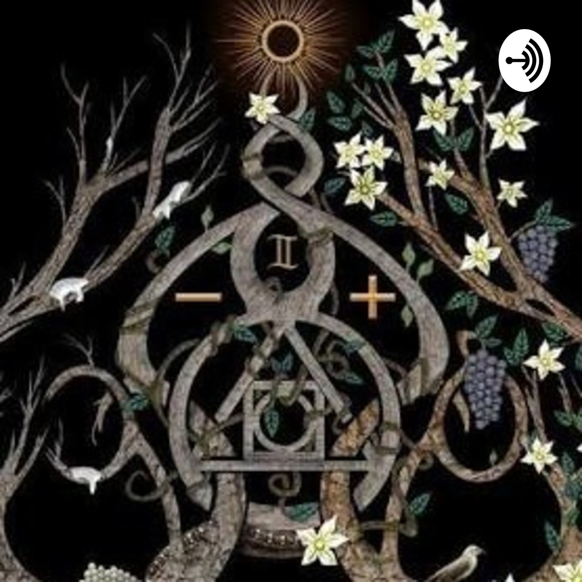 Verdades Nuas E Cruas - Podcasts