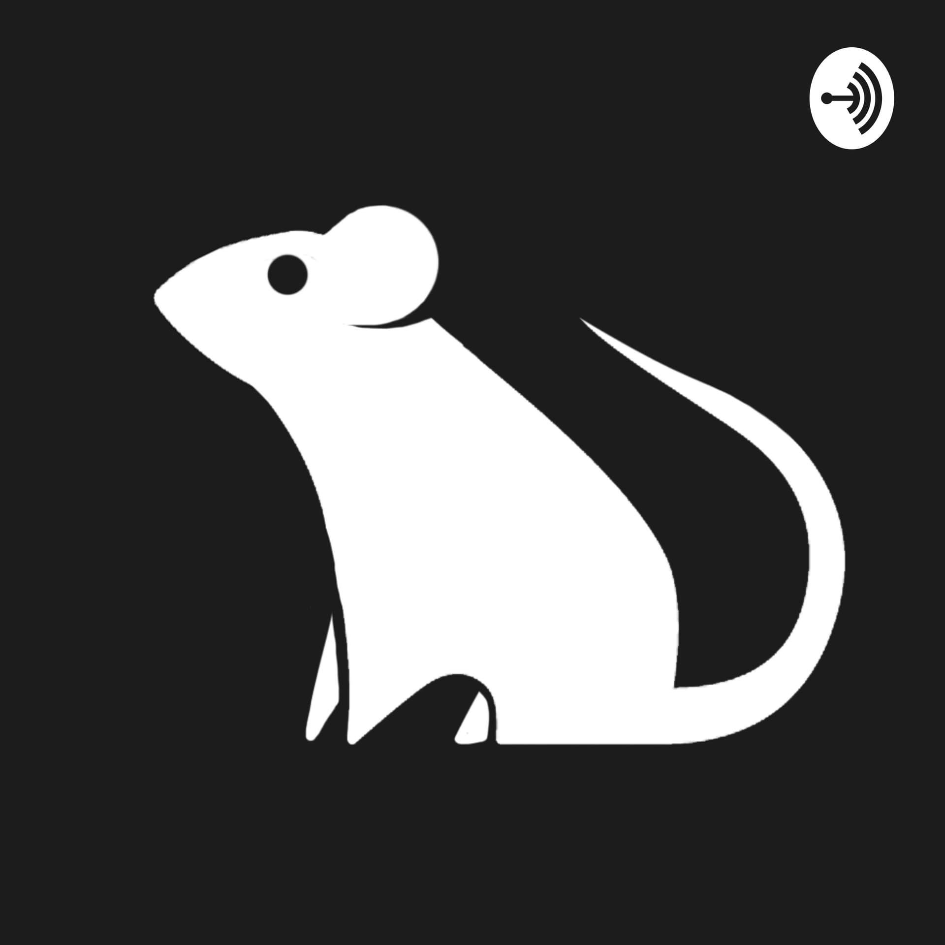 RATO PODCAST - Podcasts