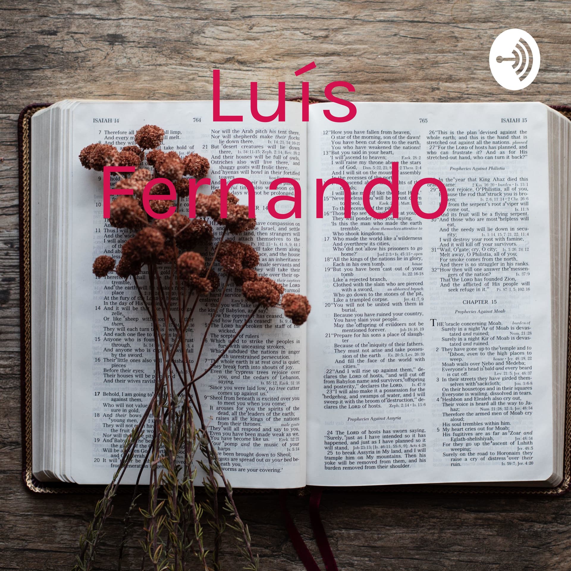 Luís Fernando 🙏🙂 - Podcasts