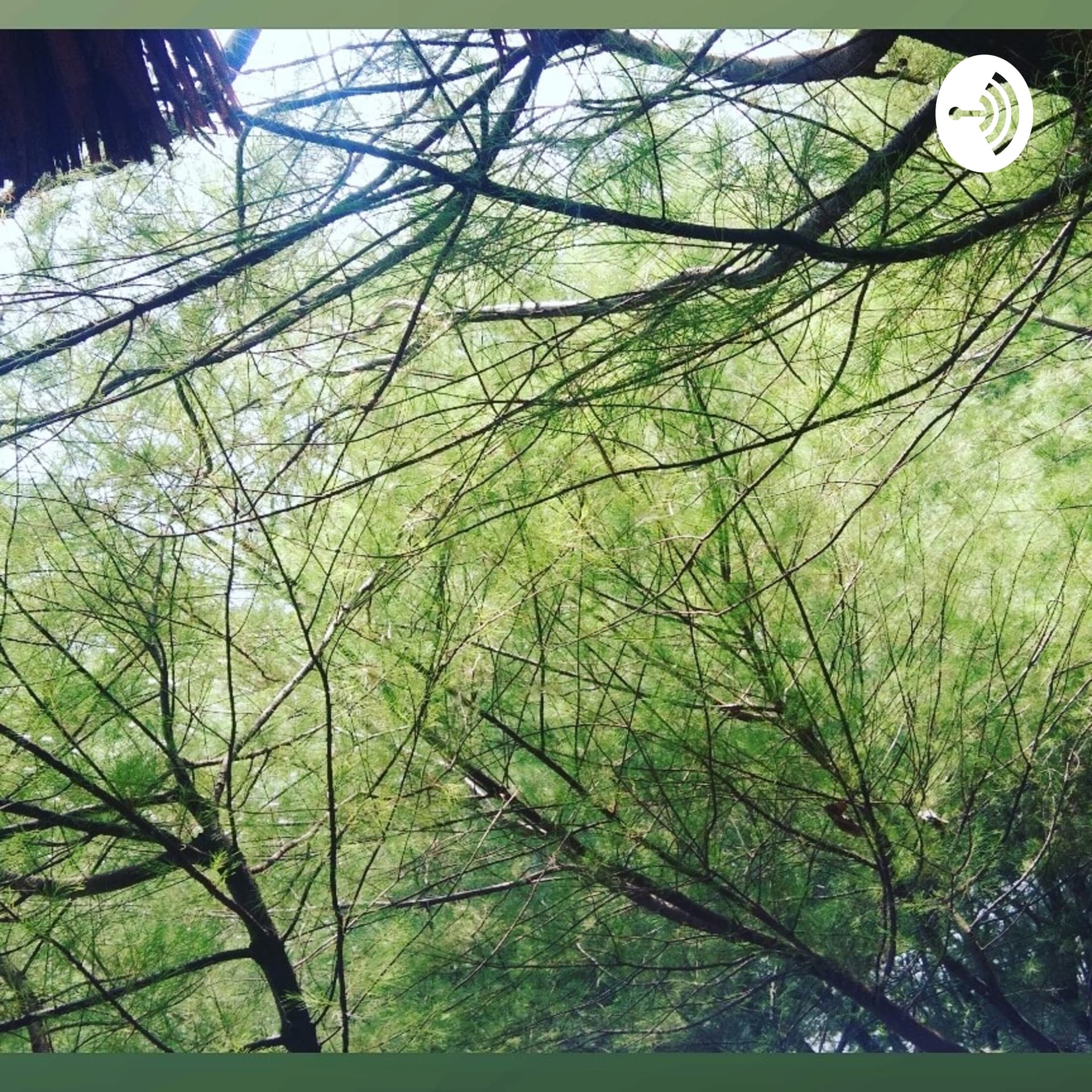 Ety Rizqi 🐼 - Podcasts