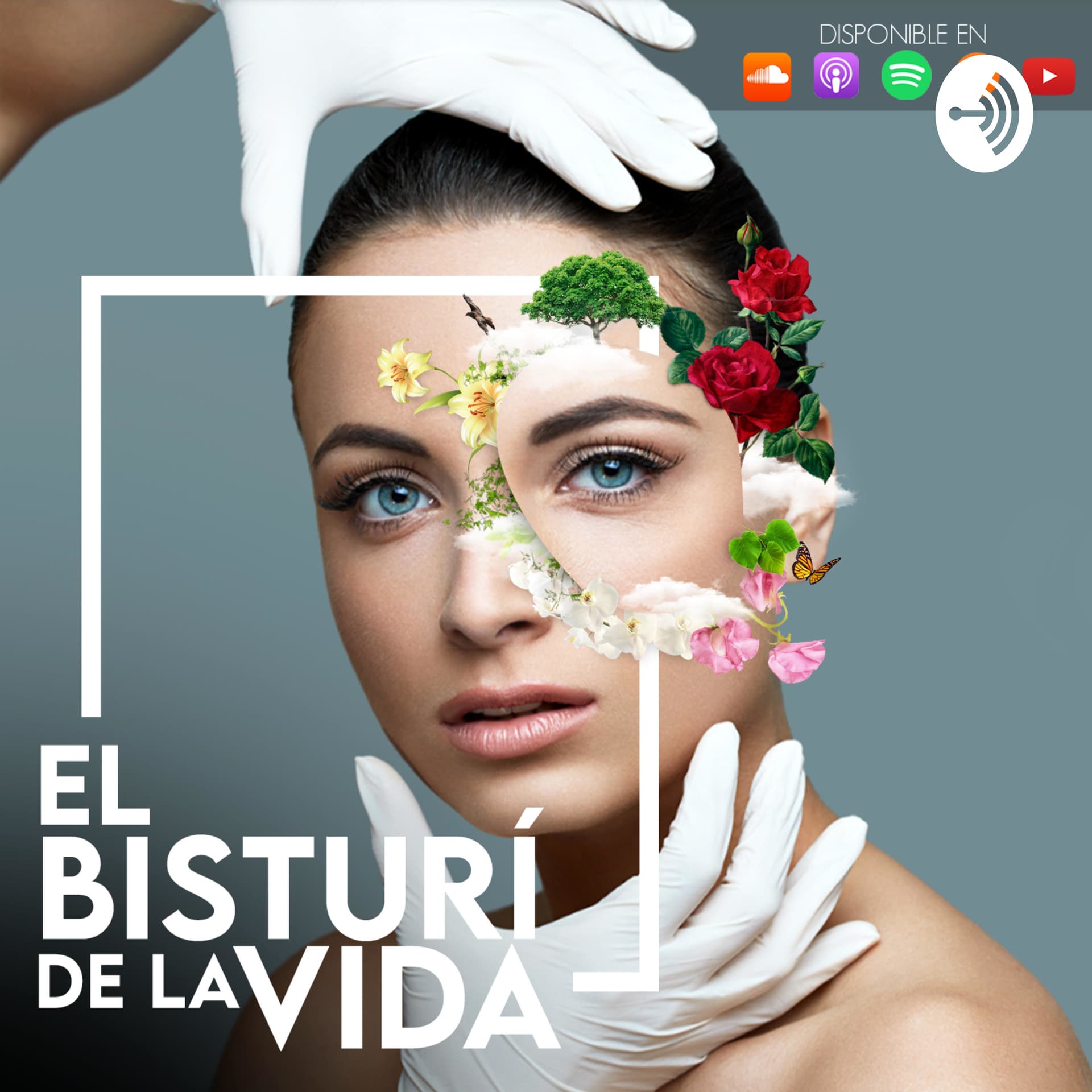 El Bisturí de la Vida