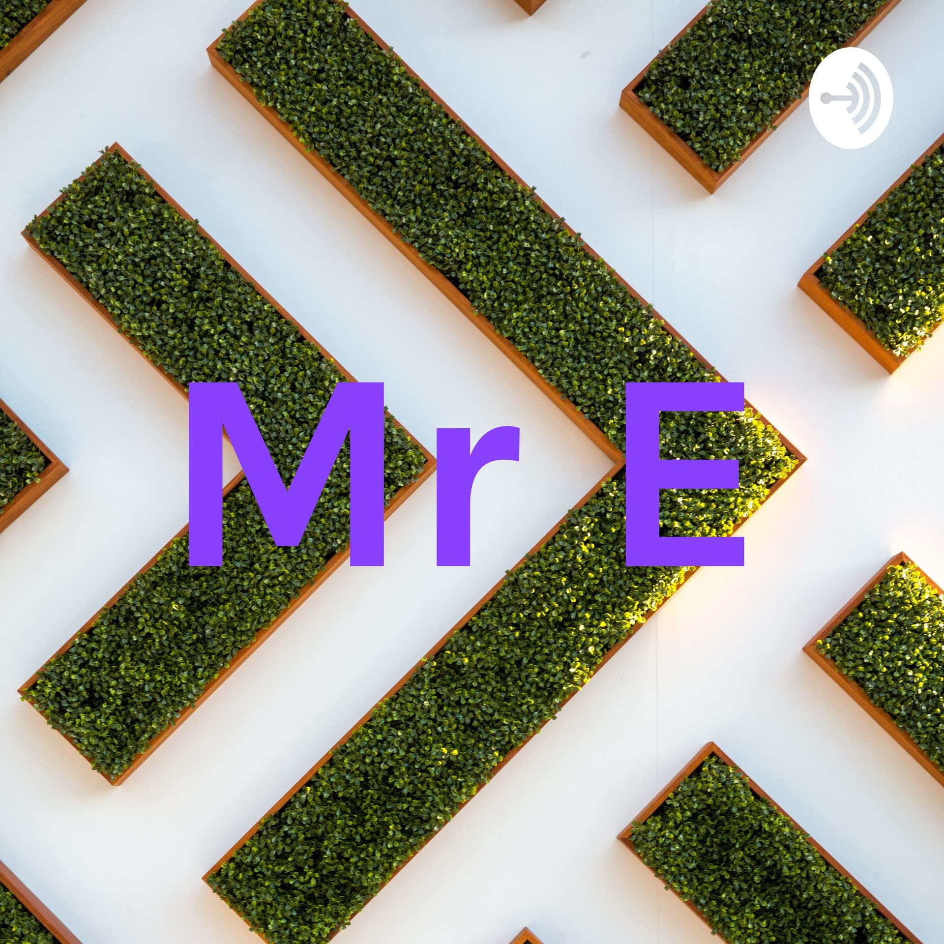 Mr E - Podcasts