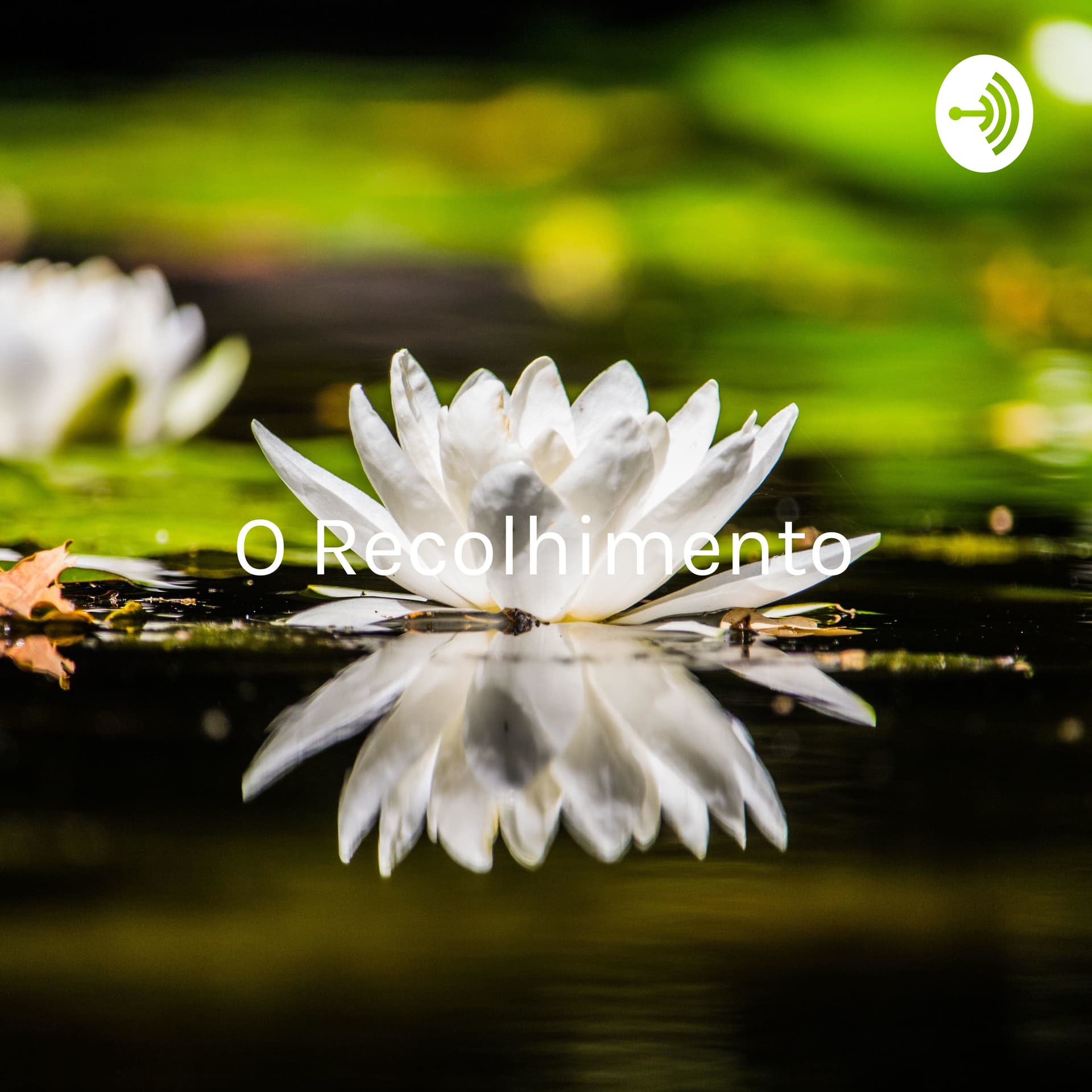 O Recolhimento: Compreendendo a pandemia sob a luz do Yoga, da saúde e das Ciências Humanas - Podcasts