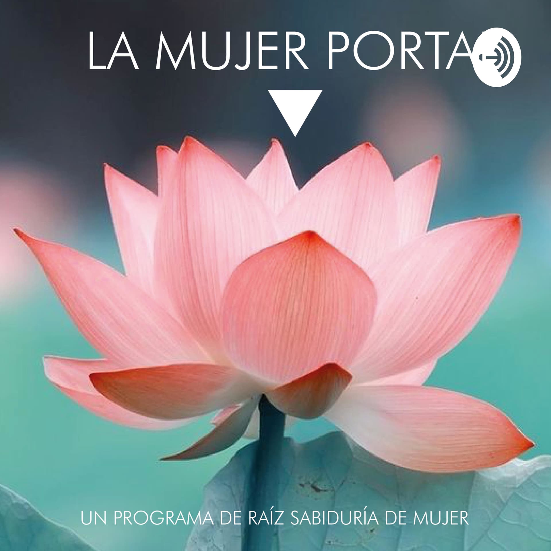 LA MUJER PORTAL - Podcasts