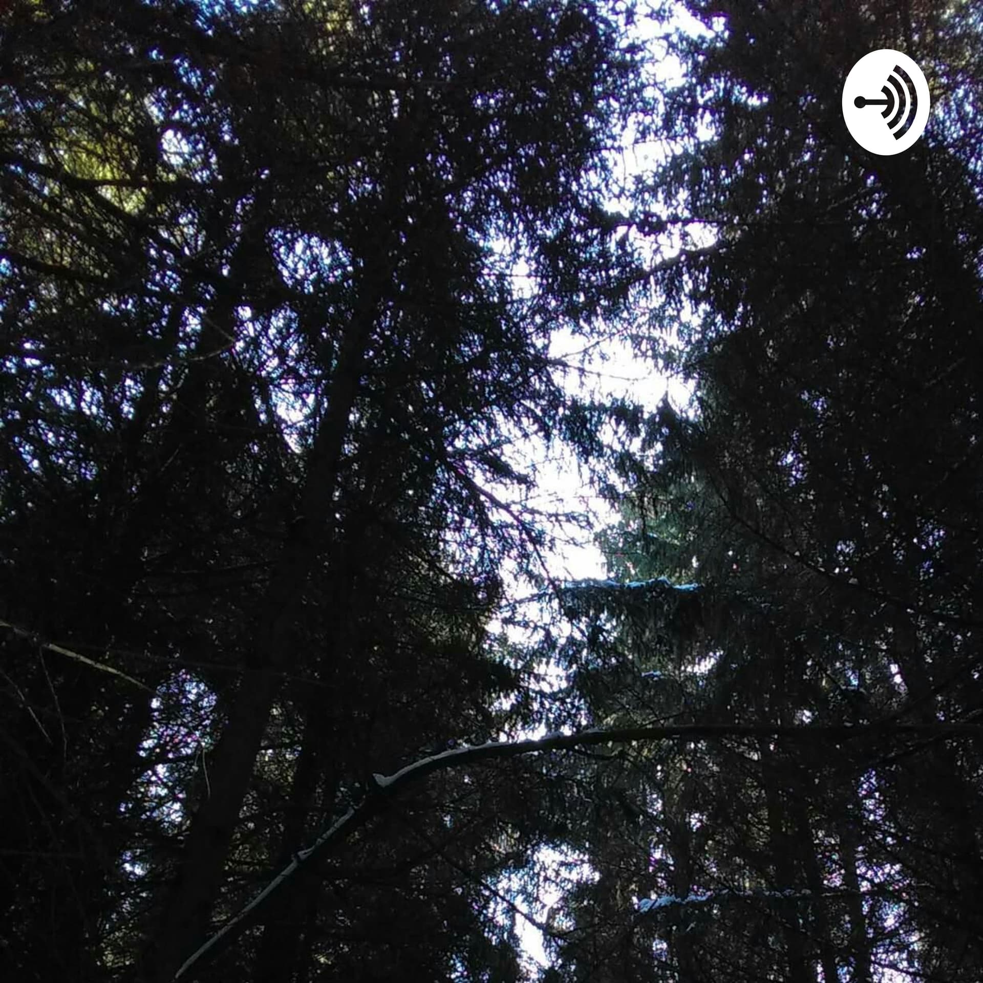Public Lands Läd: An Adventurer In America's Greatest Resource - Podcasts