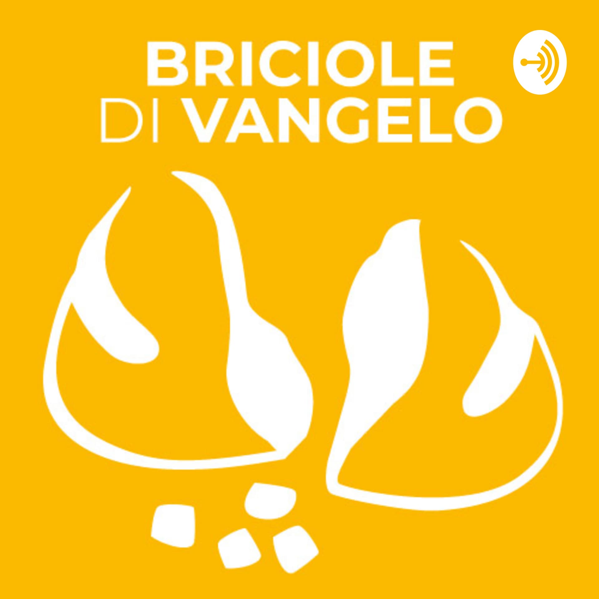 BRICIOLE DI VANGELO di don Silvio Longobardi - Podcasts
