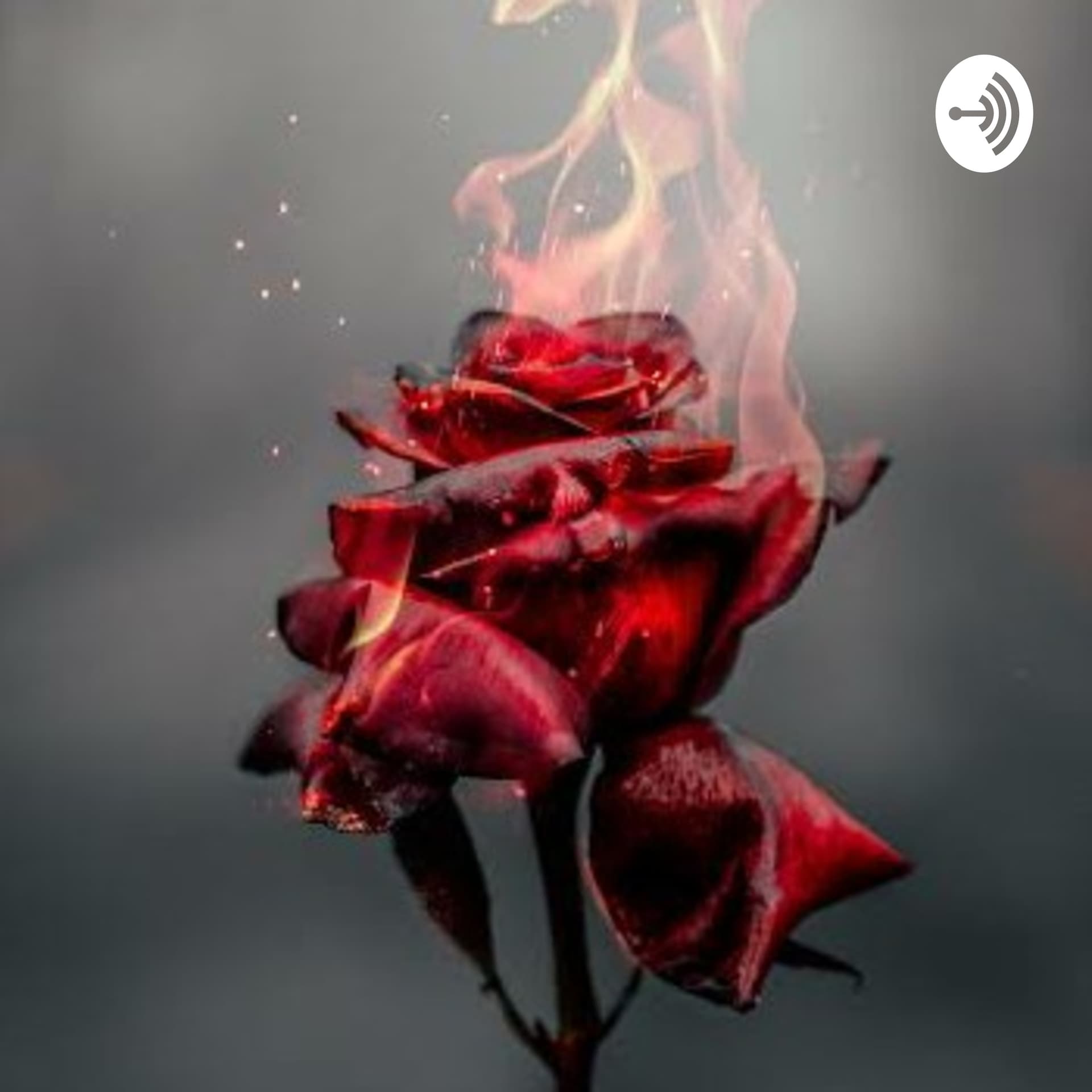 Said and The Unsaid - Pehla Kadam - Podcasts