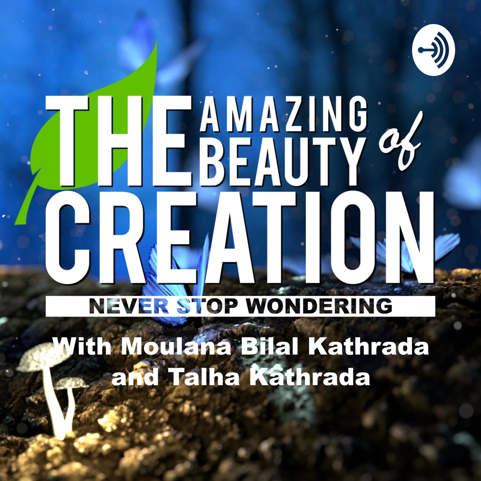 The Amazing Beauty of Creation - Podcasts