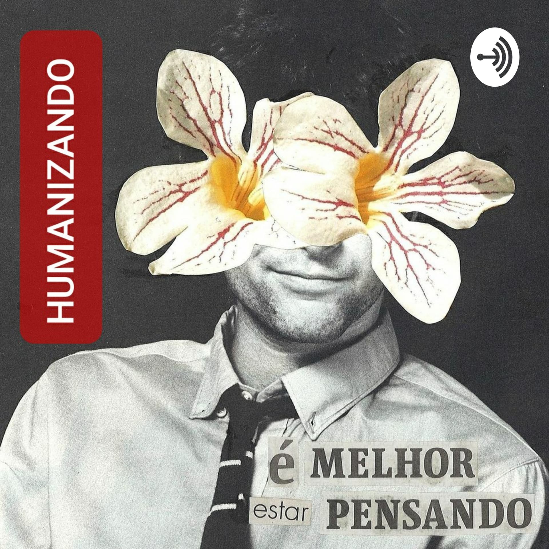 HUMANIZANDO: história crítica, cultura popular, humanidades, educação política e antirracismo. - Podcasts