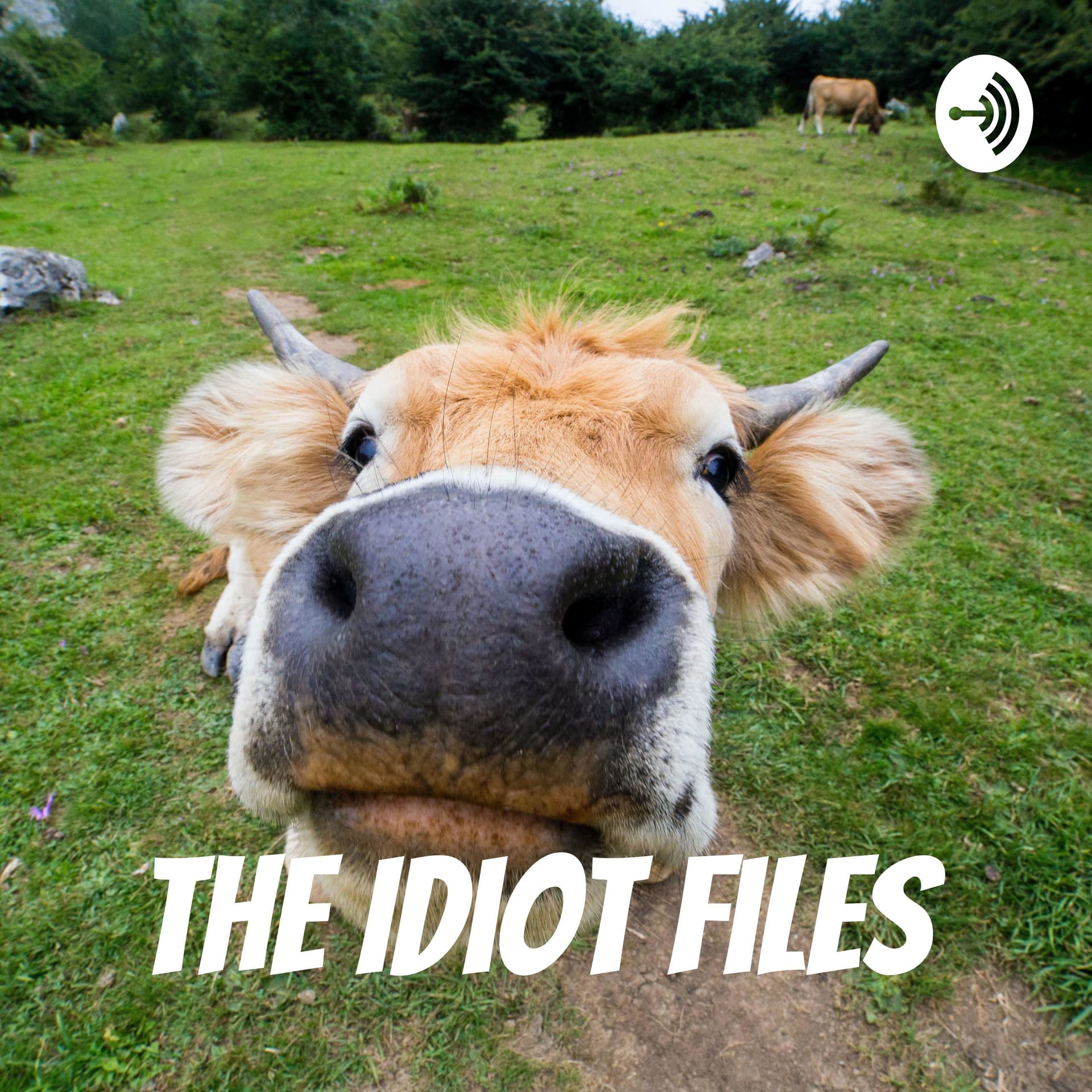 The Idiot Files - Podcasts