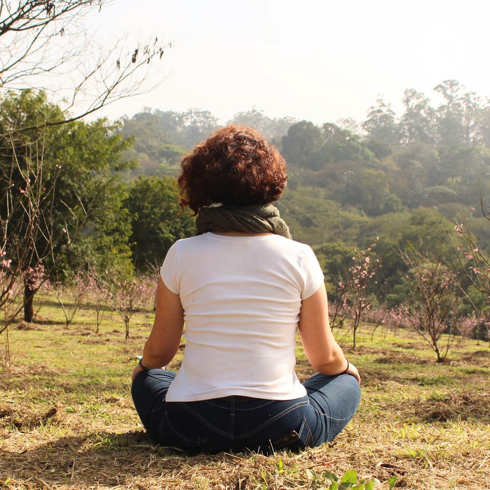O Brasil me obriga a meditar - Podcasts