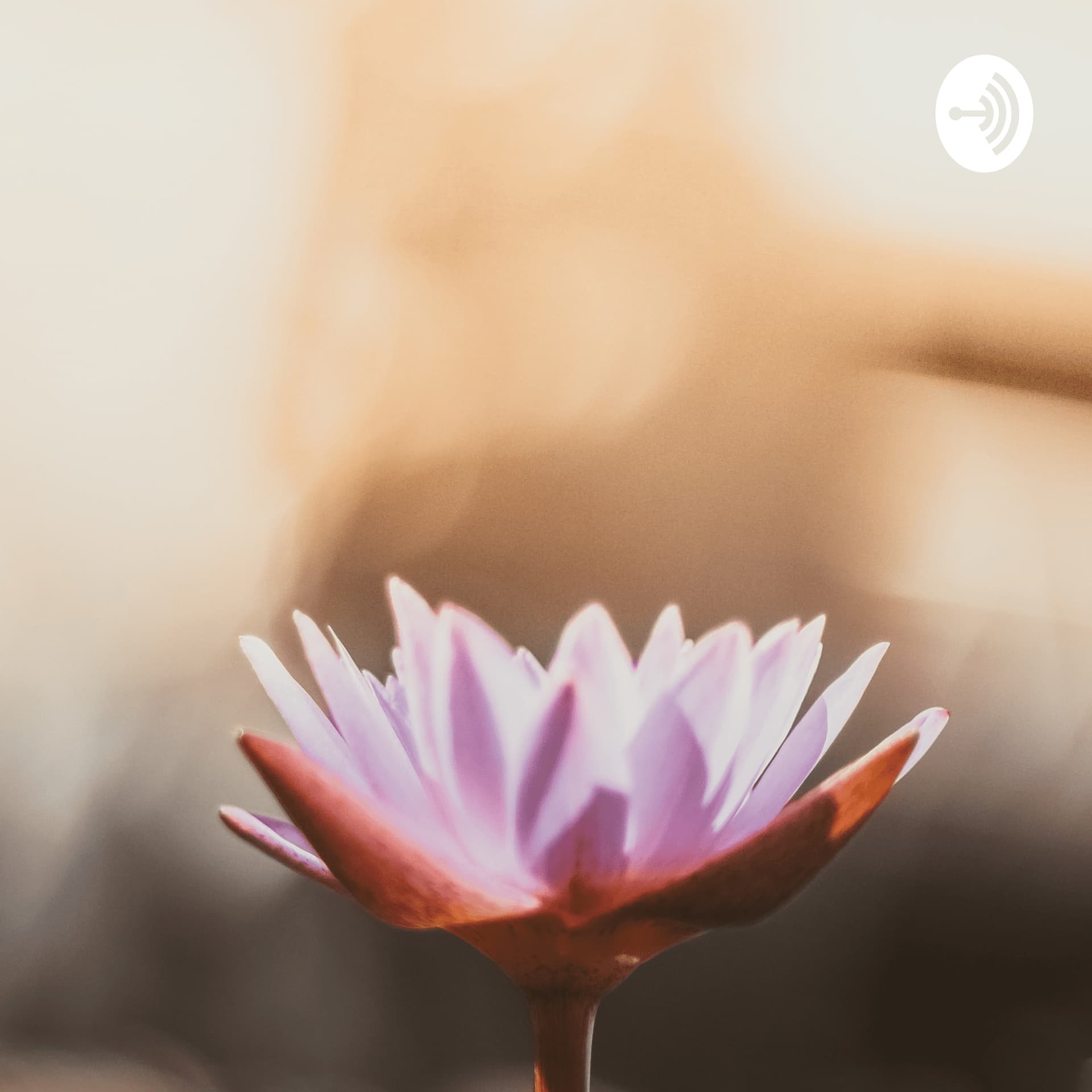 ClubLohas Meditação - Podcasts