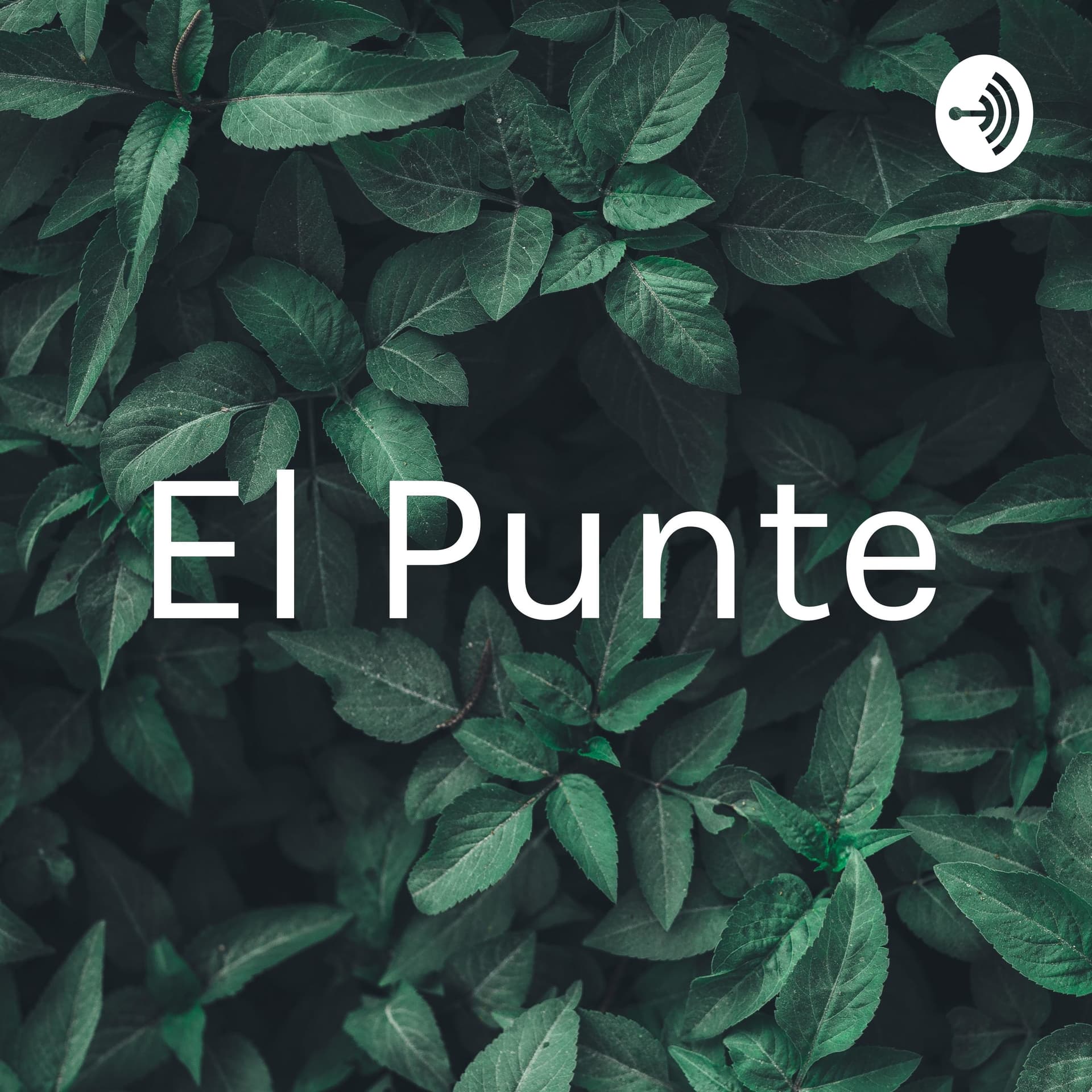 El Punte - Podcasts