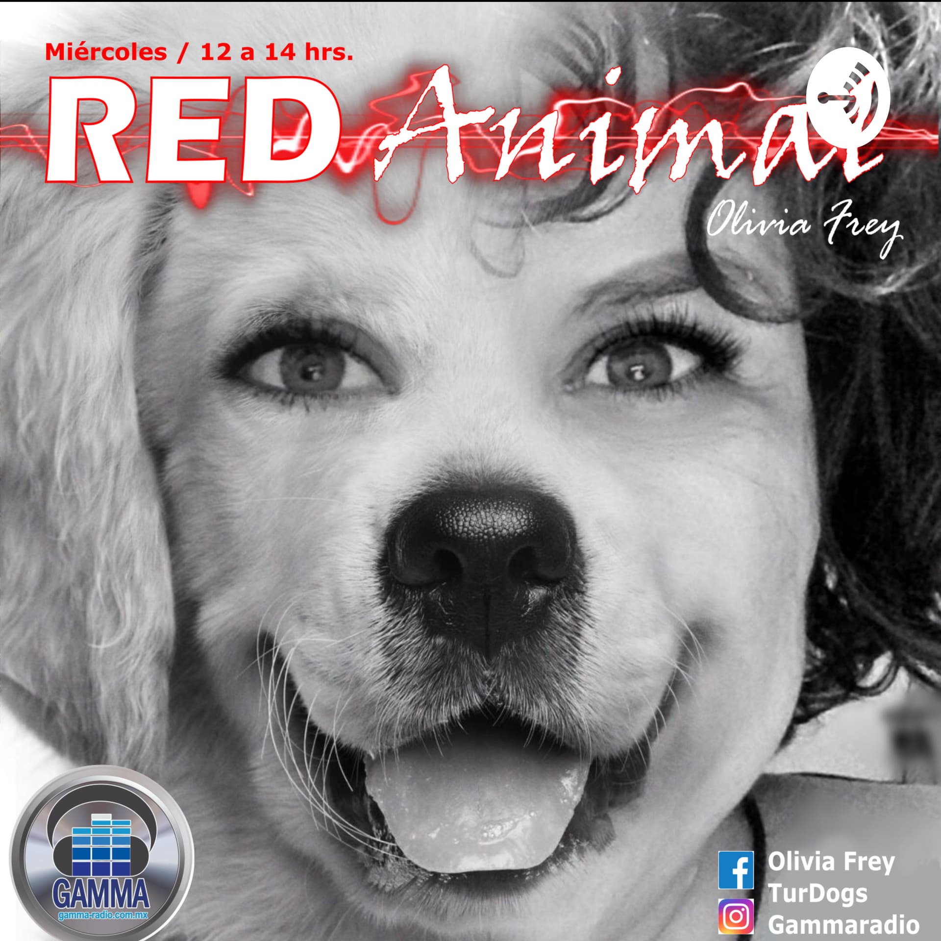 RED ANIMAL CON OLIVIA FREY - Podcasts