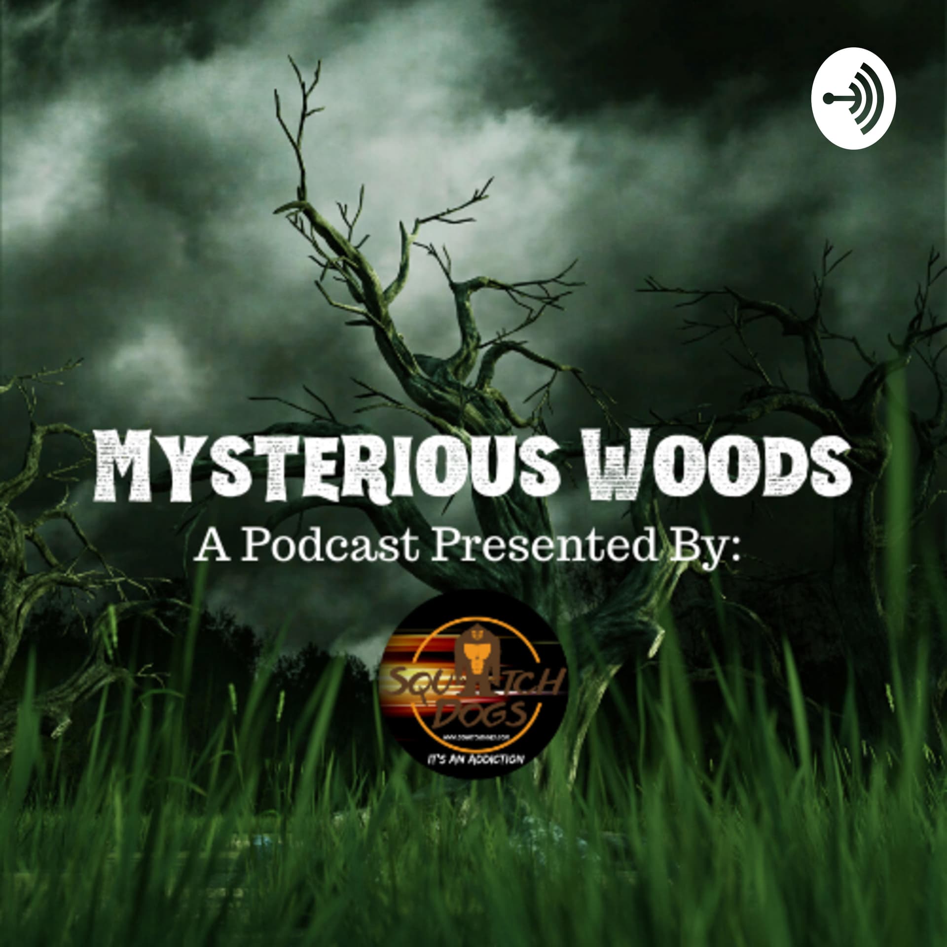 Mysterious Woods - Podcasts
