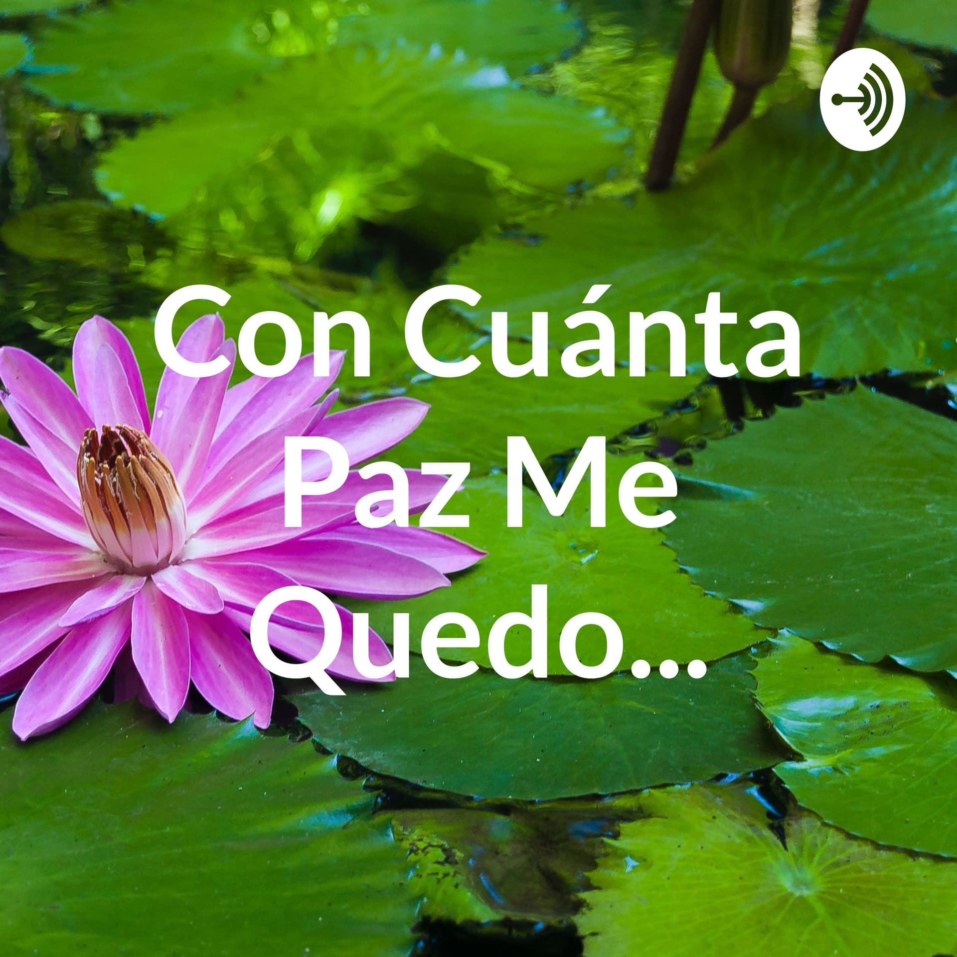 Medita Paso A Paso... - Podcasts